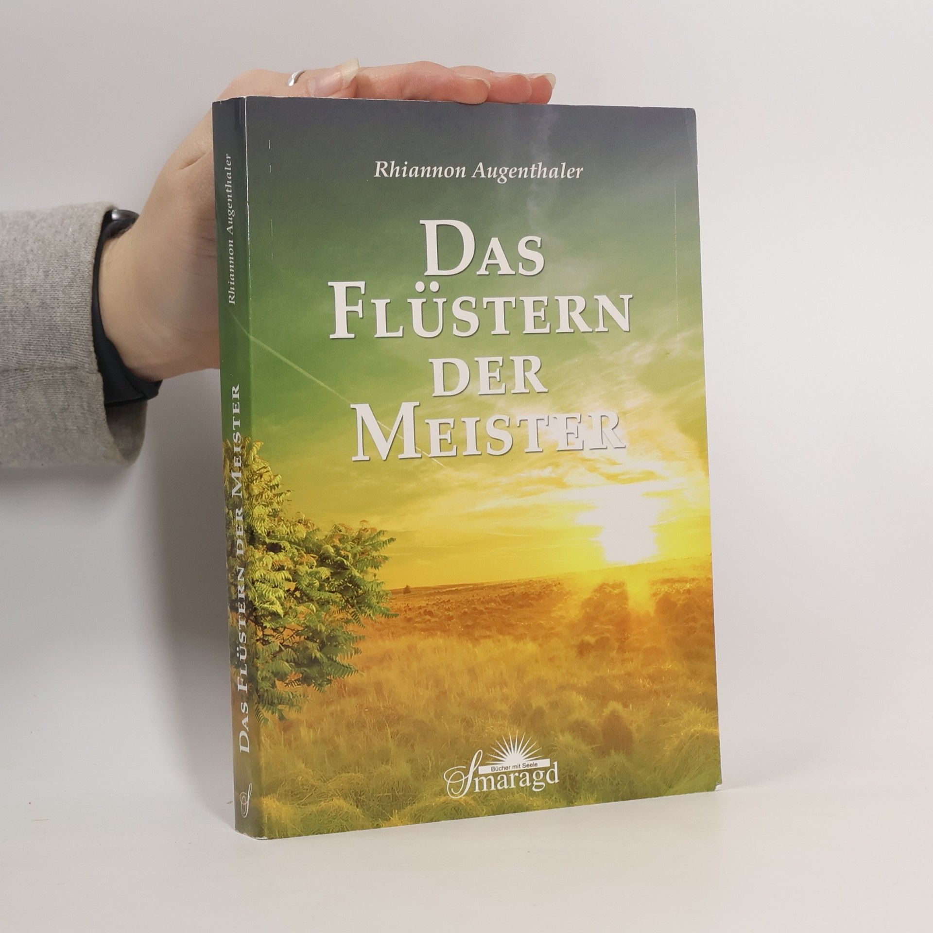 Rhiannon Augenthaler Das Flüstern der Meister