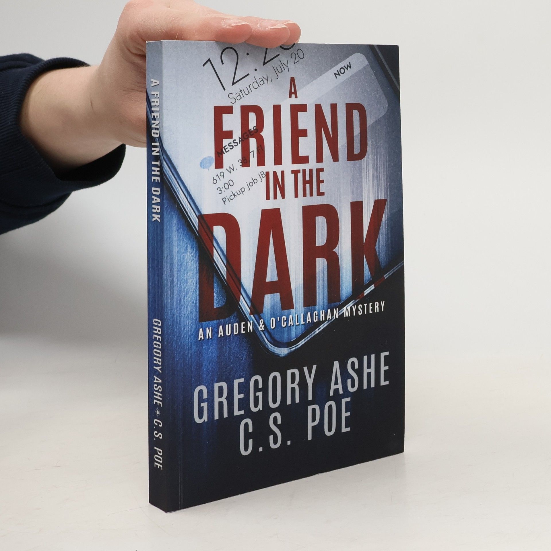 C. S. Poe A Friend in the Dark (An Auden & O'Callaghan Mystery, Band 1)