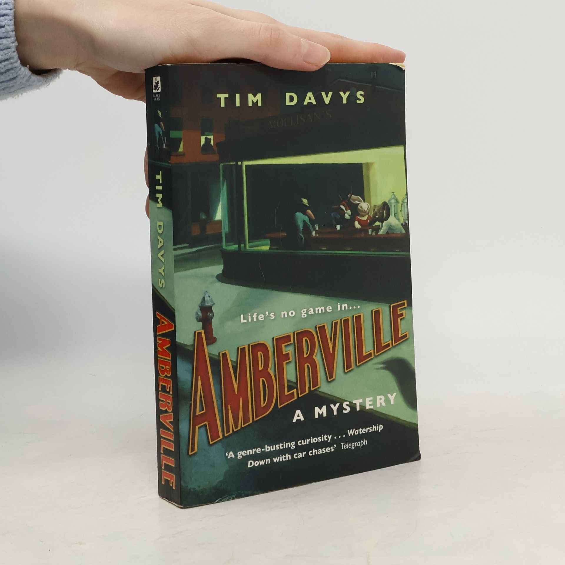 Tim Davys Amberville. A Mystery