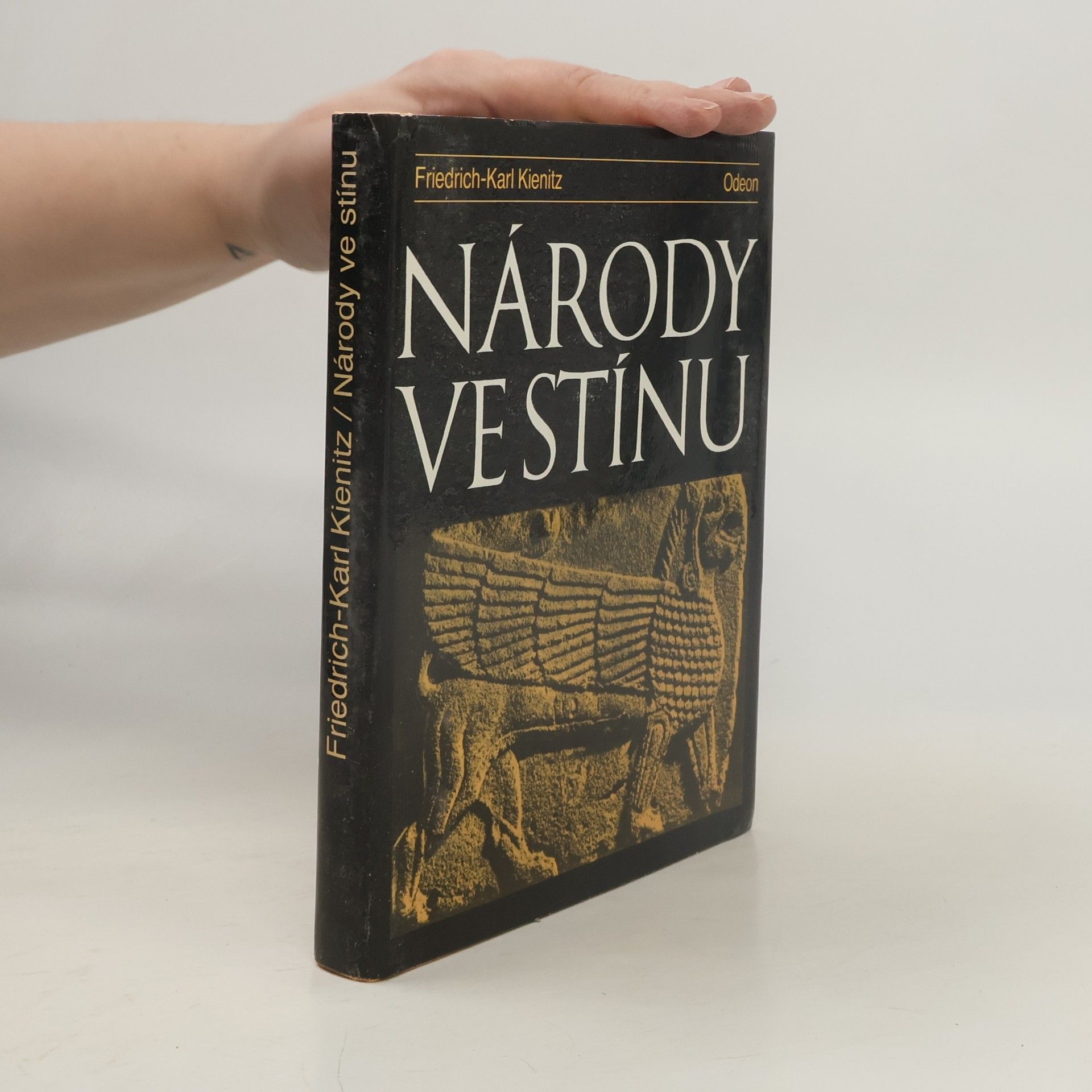 Friedrich Karl Kienitz Národy ve stínu