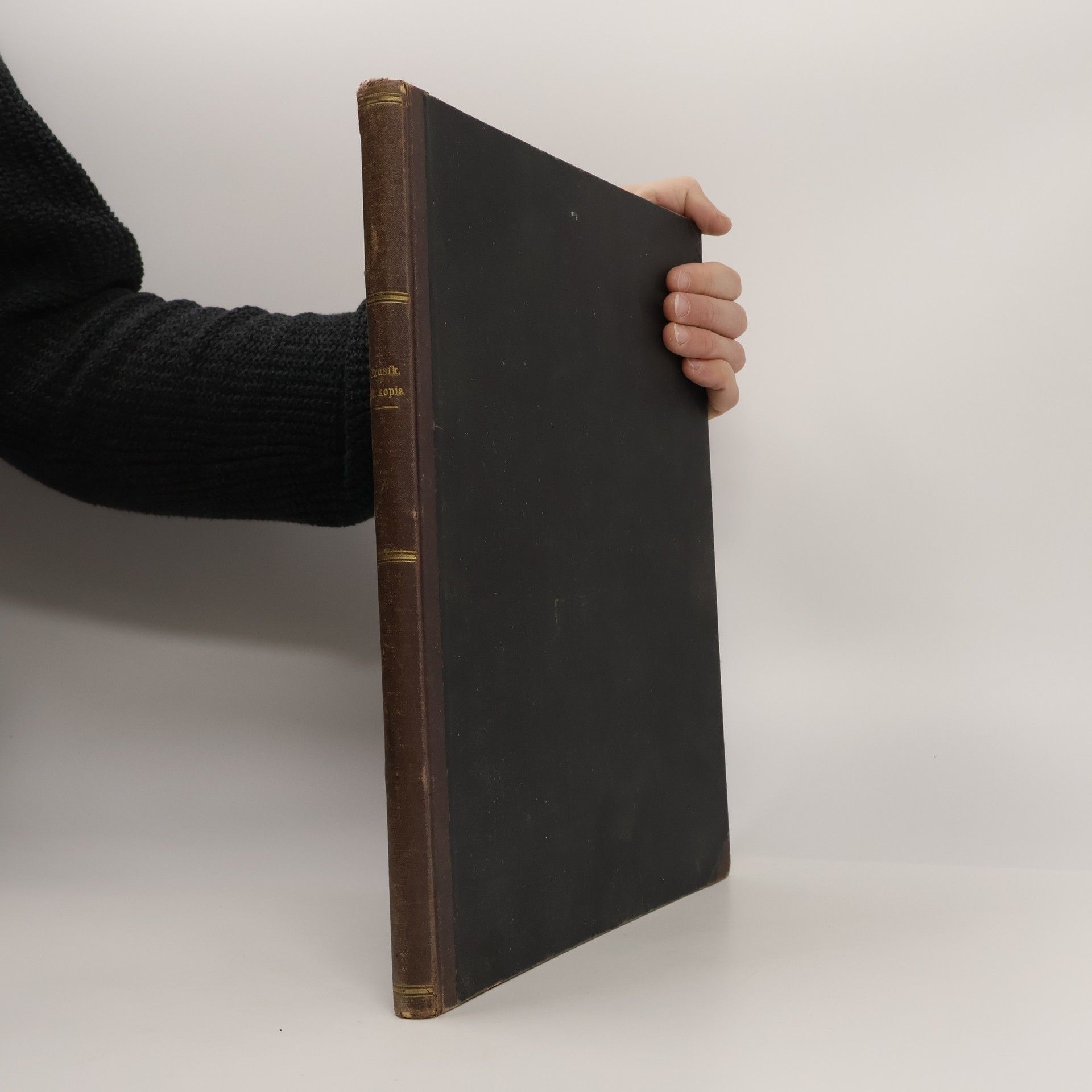 Josef Mánes Rukopis Kralodvorský