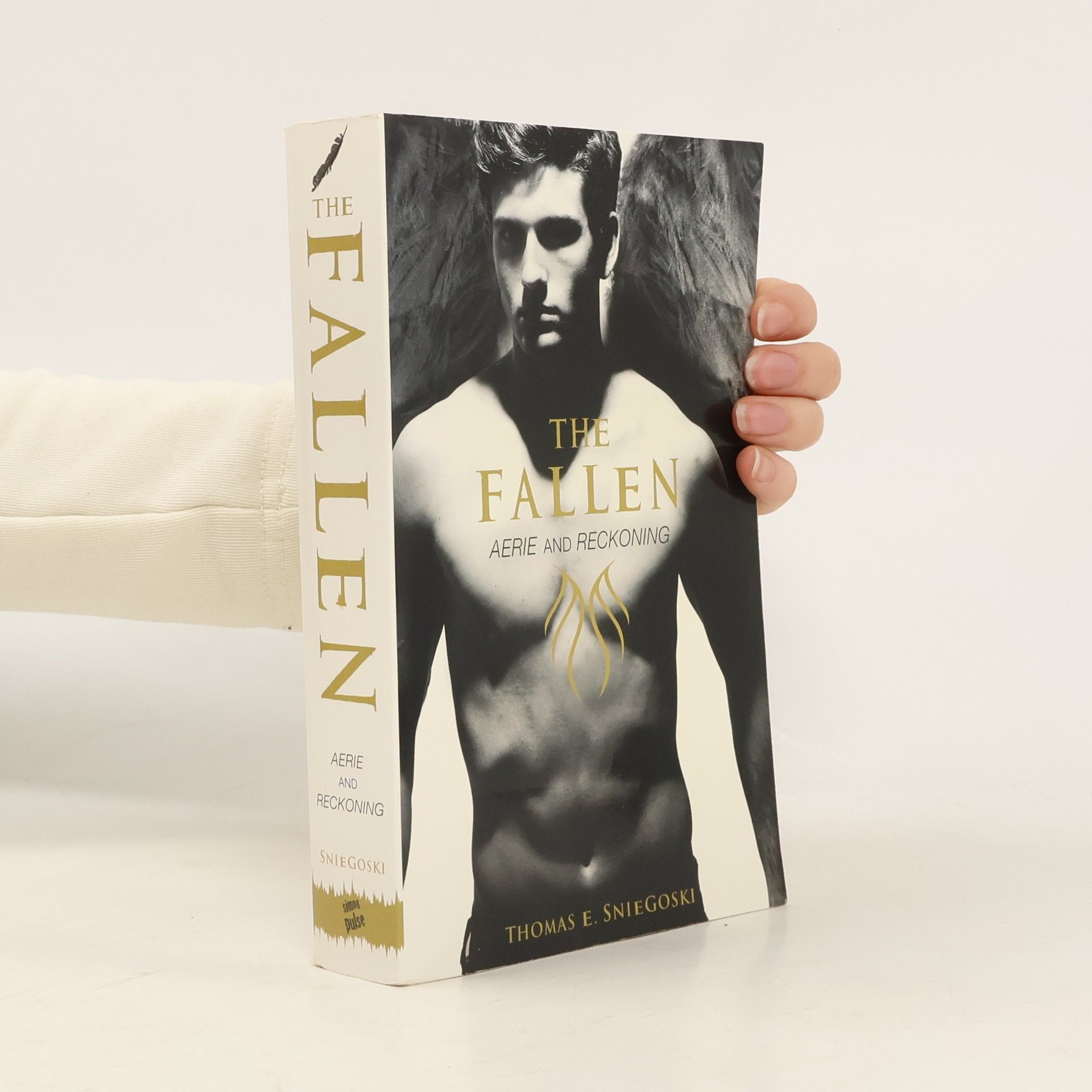 Thomas E. Sniegoski Aerie