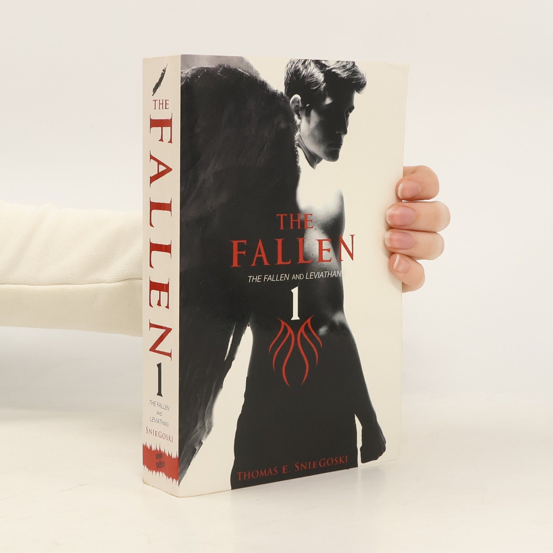 Thomas E. Sniegoski The Fallen 1