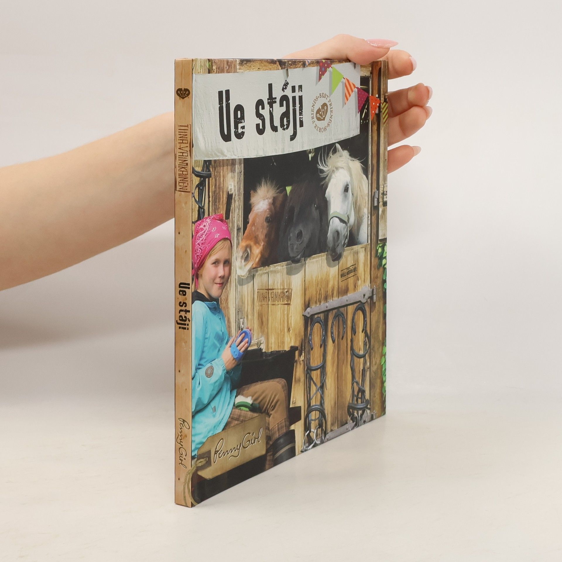 Tiina Vainikainen Ve stáji