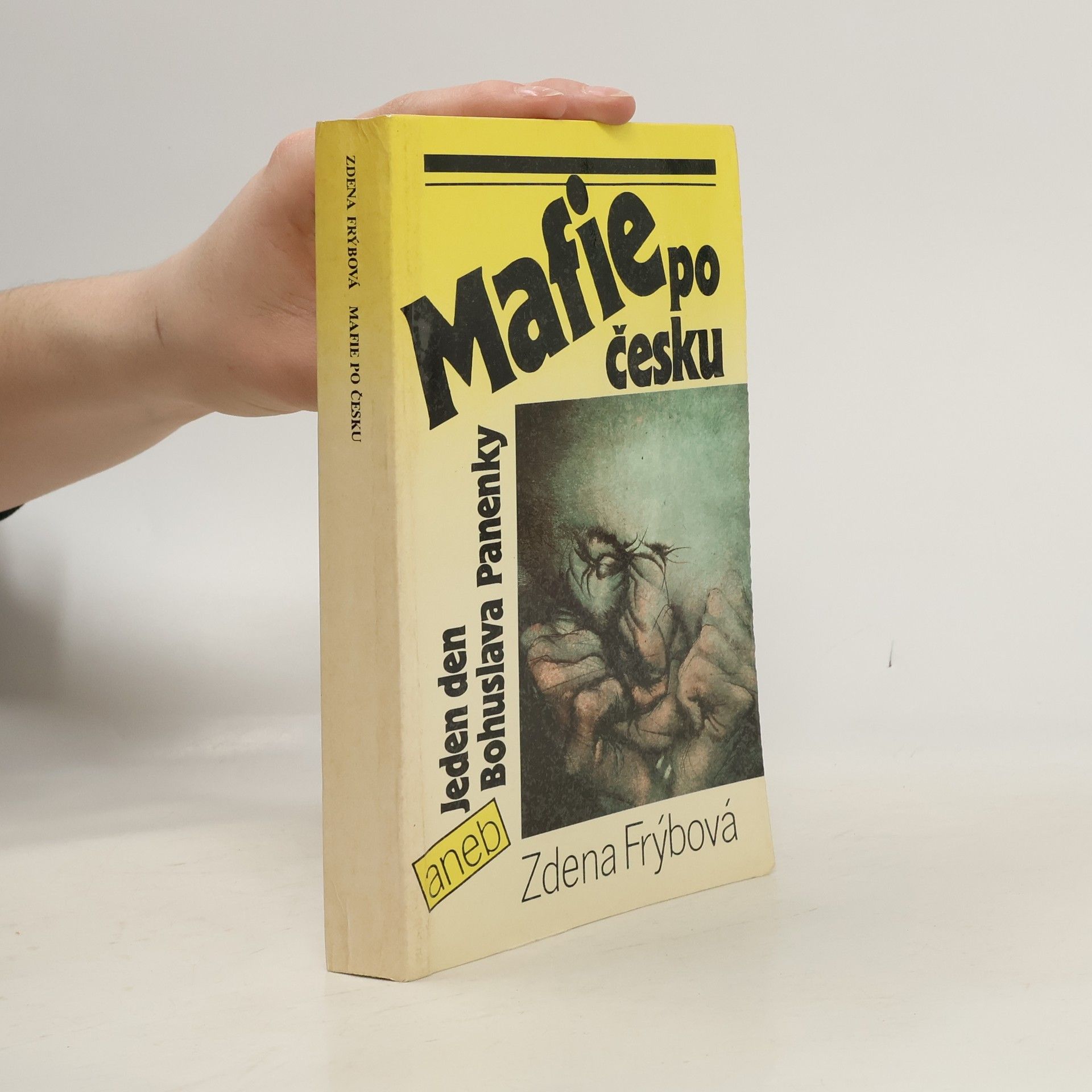 Zdena Frýbová Mafie po česku