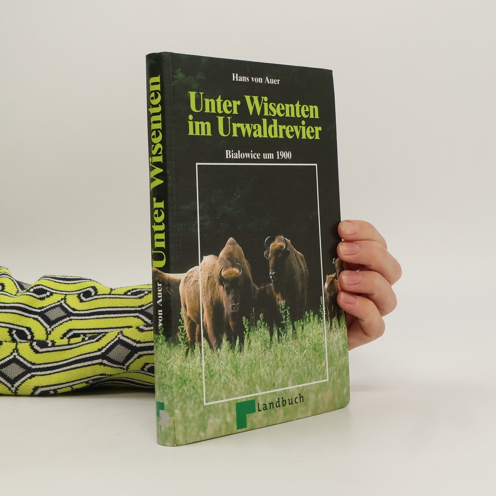 Hans von Auer Unter Wisenten im Urwaltrevier