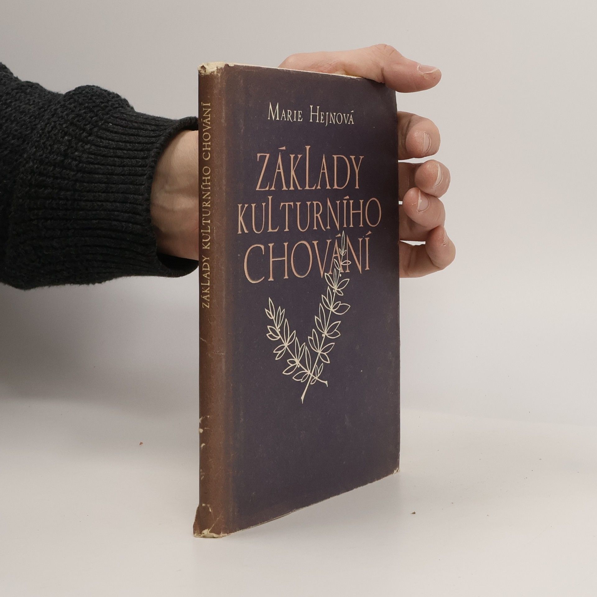 Základy kulturního chování