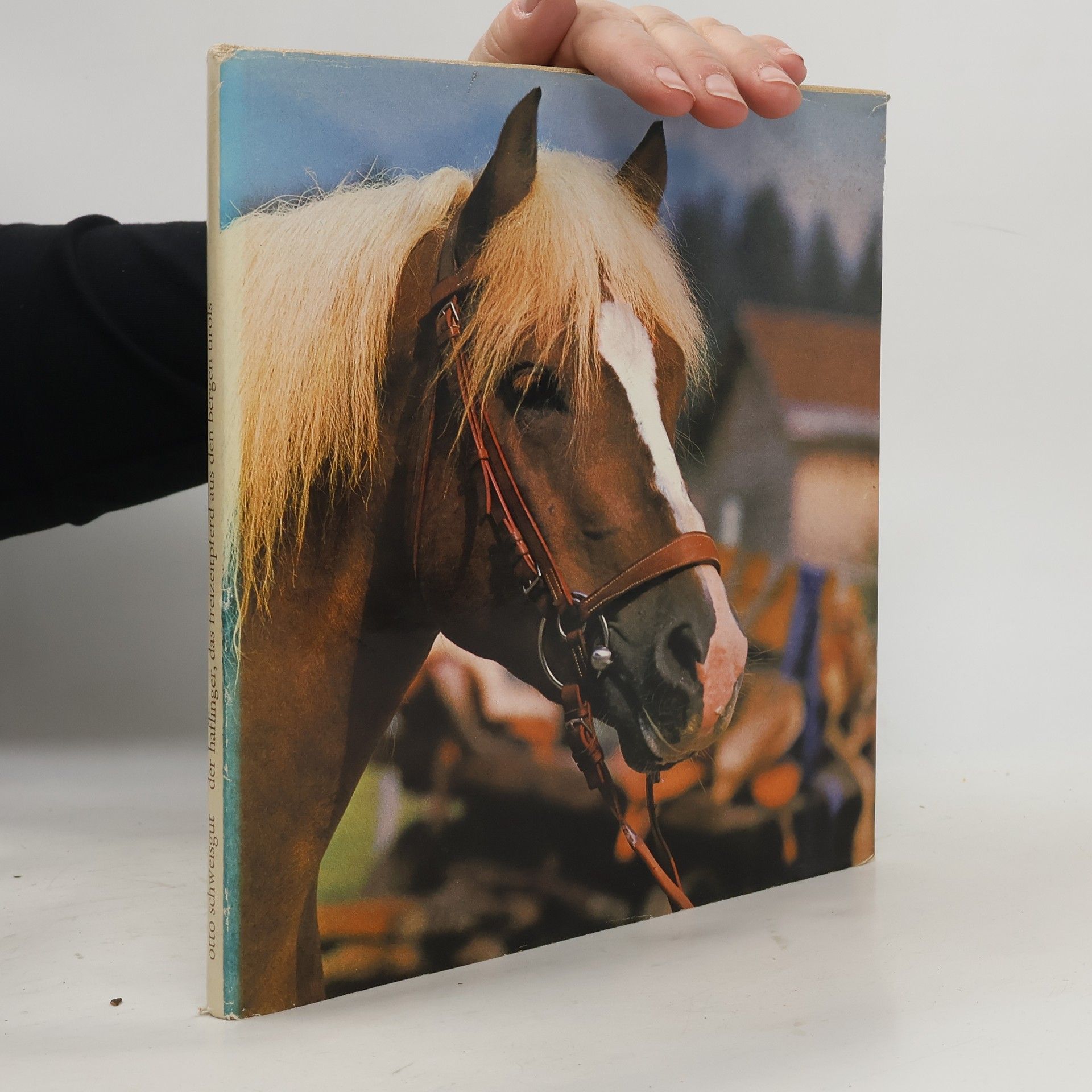 Otto Schweisgut Der Haflinger