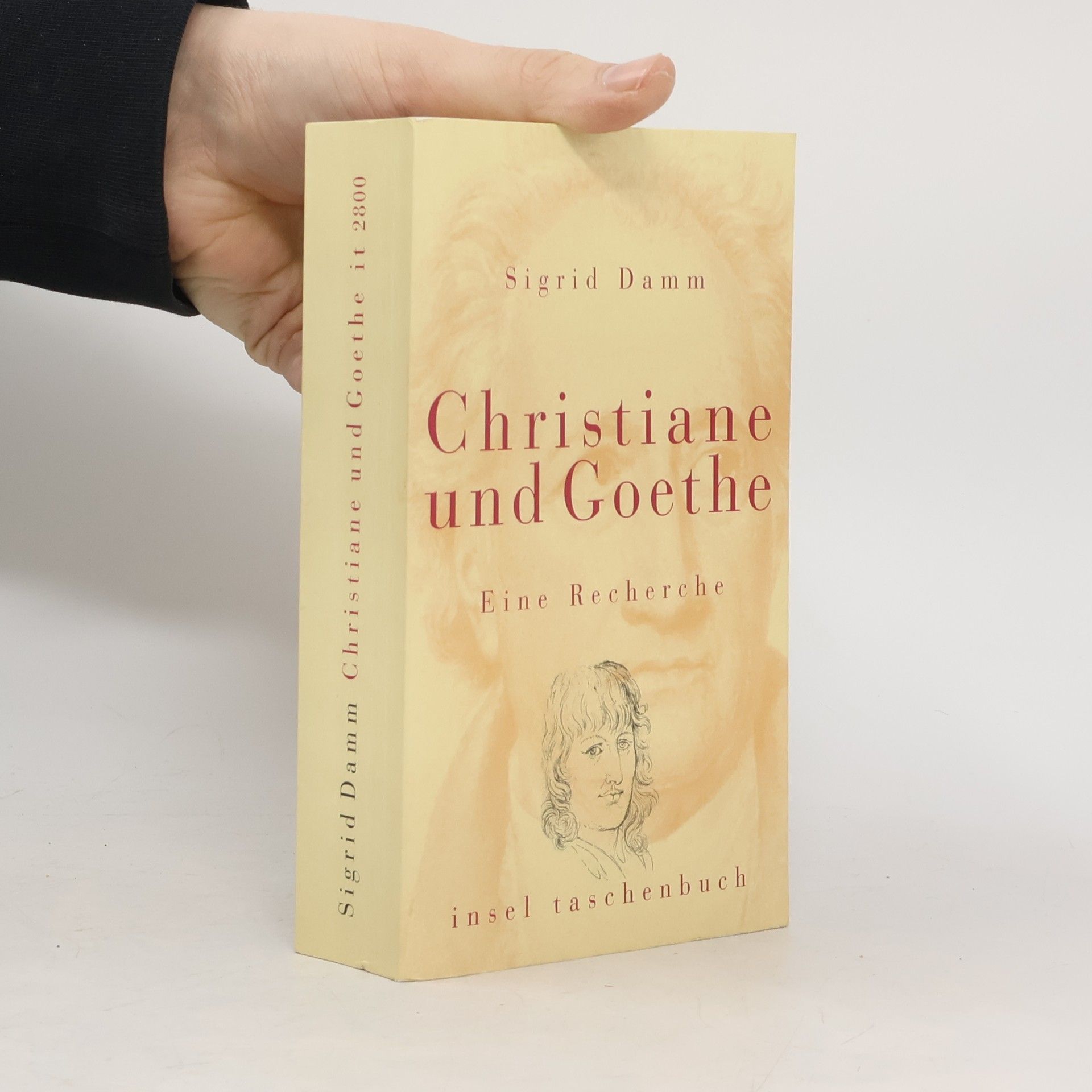 Sigrid Damm Christiane und Goethe
