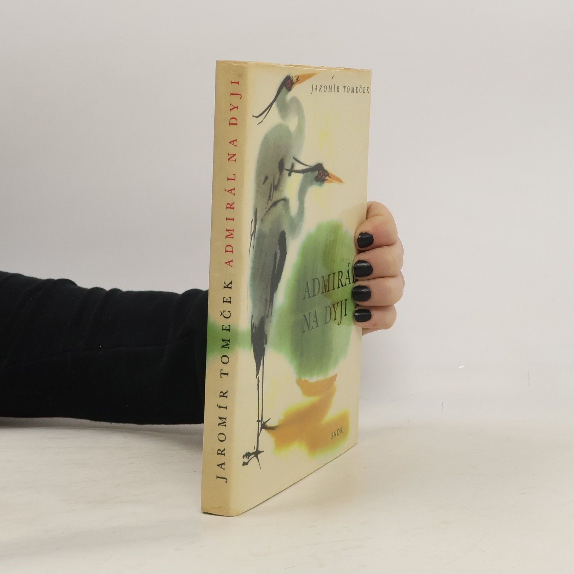 Jaromír Tomeček Admirál na Dyji