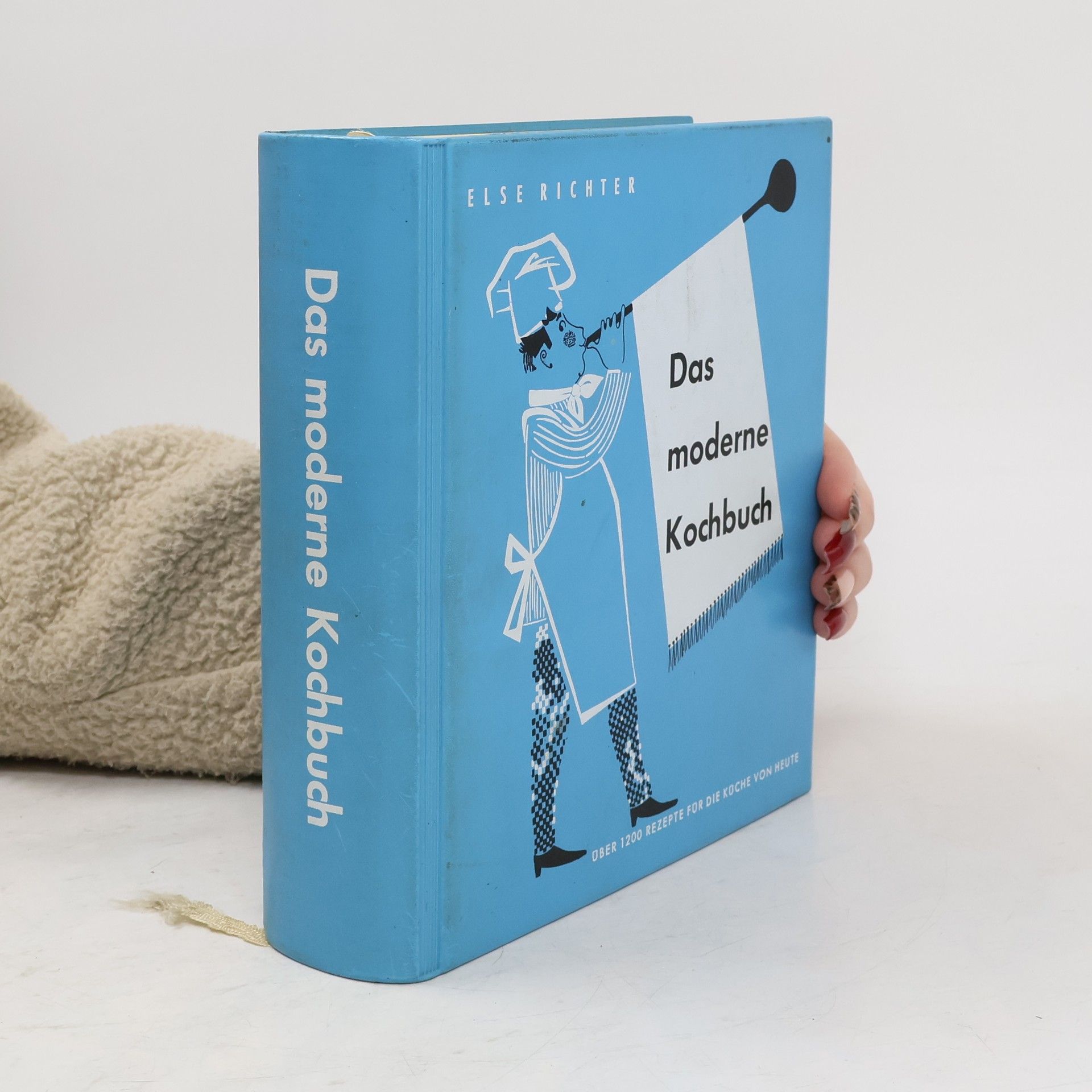 Else Richter Das moderne Kochbuch
