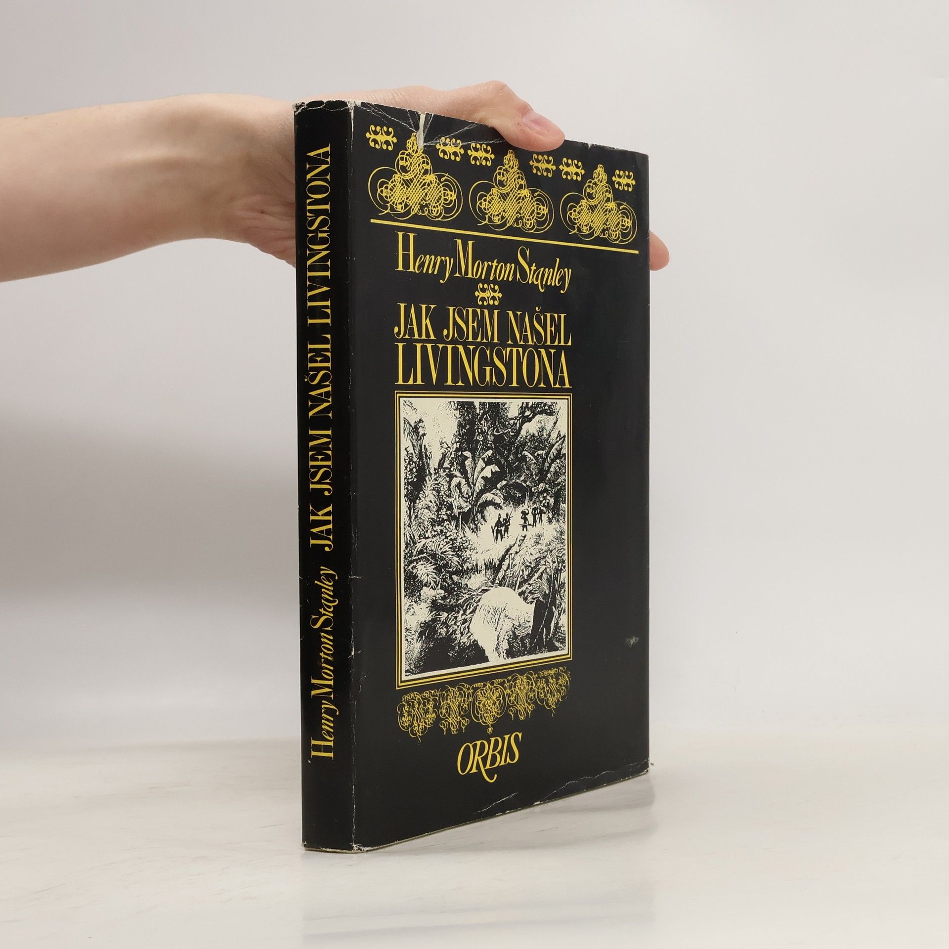 Henry Morton Stanley Jak jsem našel Livingstona