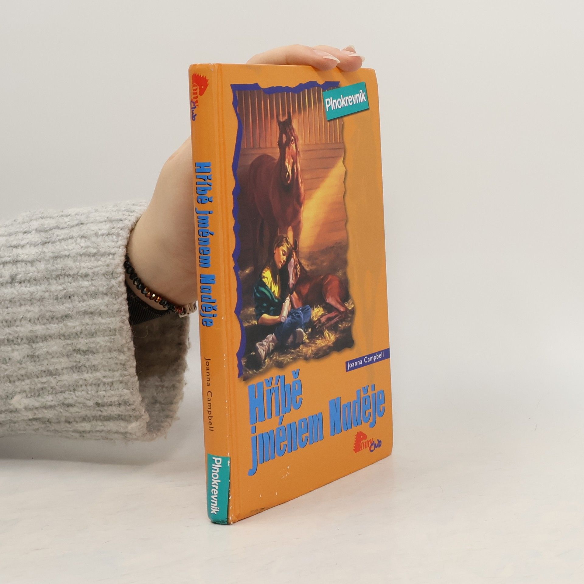 Jo Ann Simon Hříbě jménem Naděje