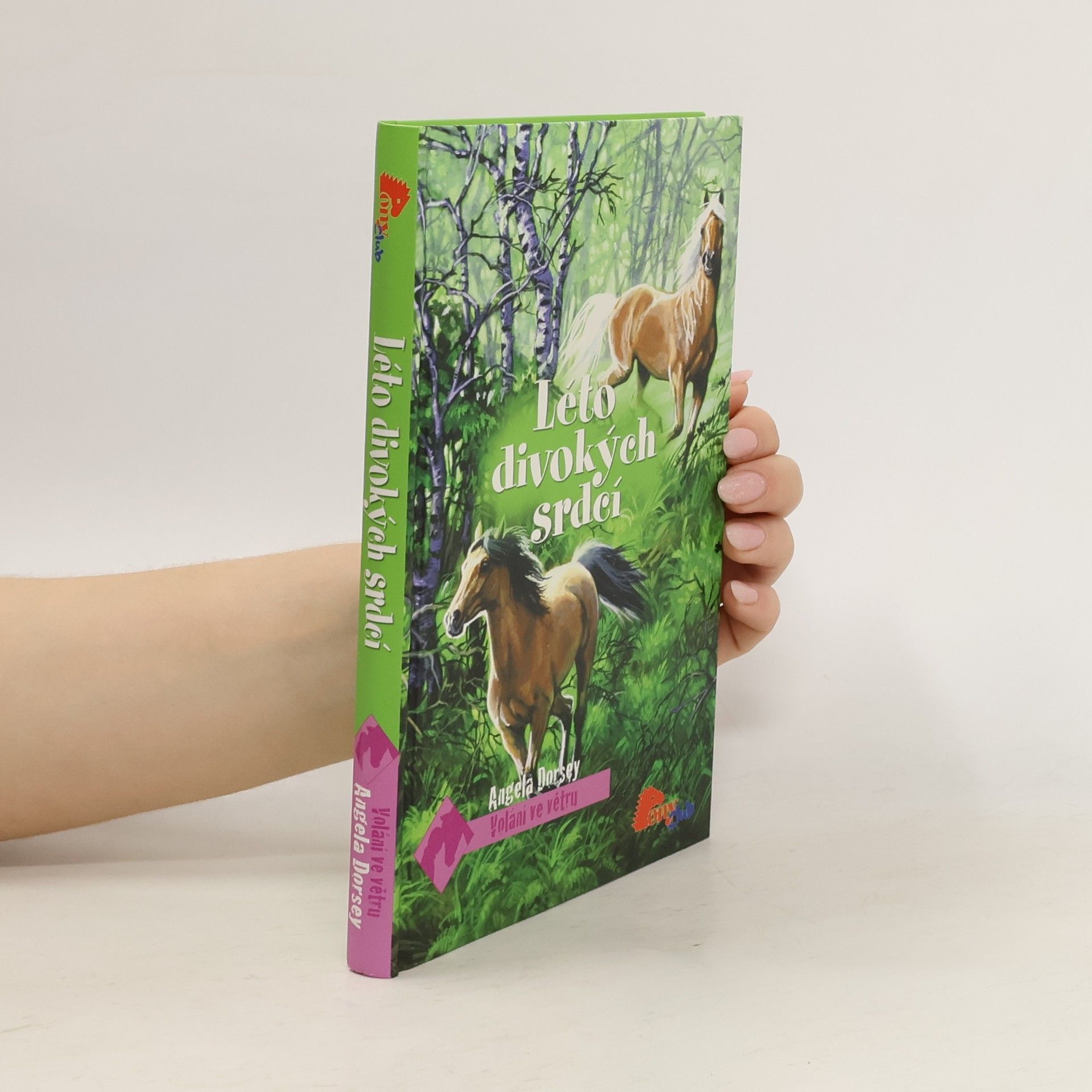 Angela Dorsey Léto divokých srdcí