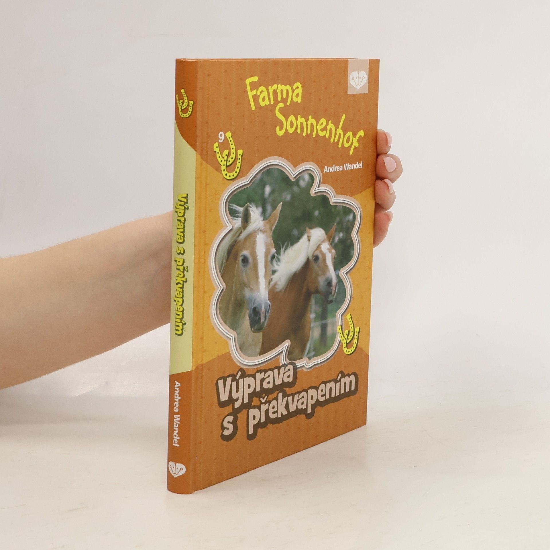 Andrea Wandel Výprava s překvapením