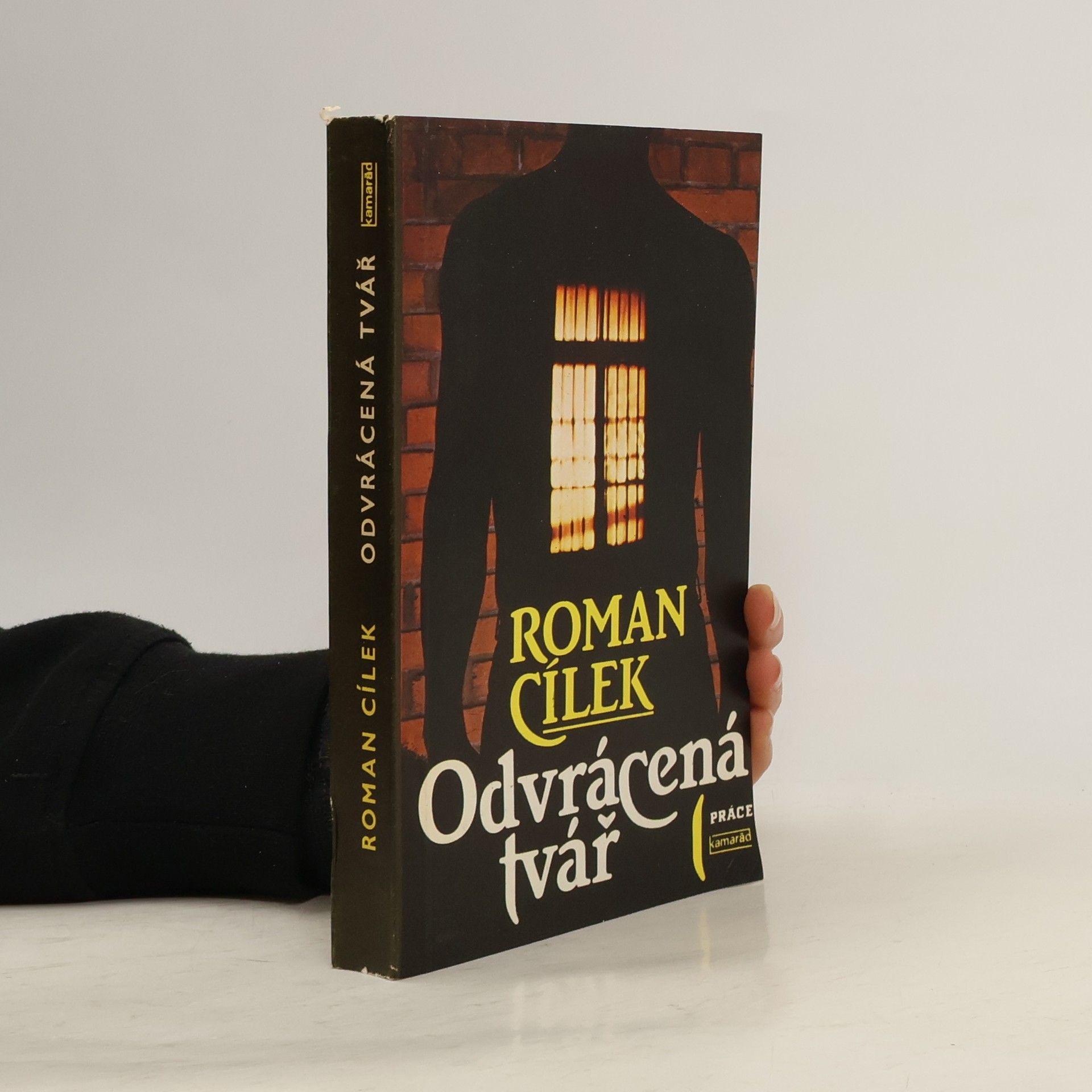 Roman Cílek Odvrácená tvář