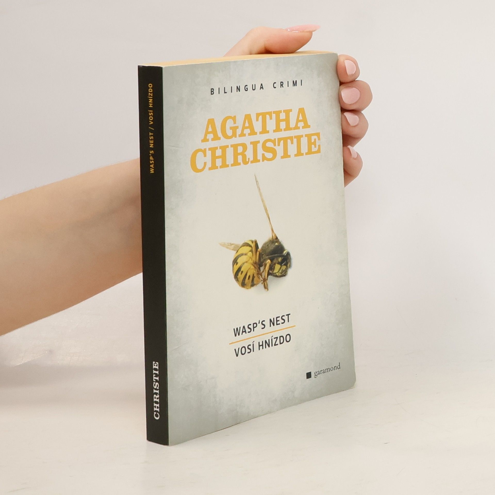 Wasp's Nest. Vosí hnízdo