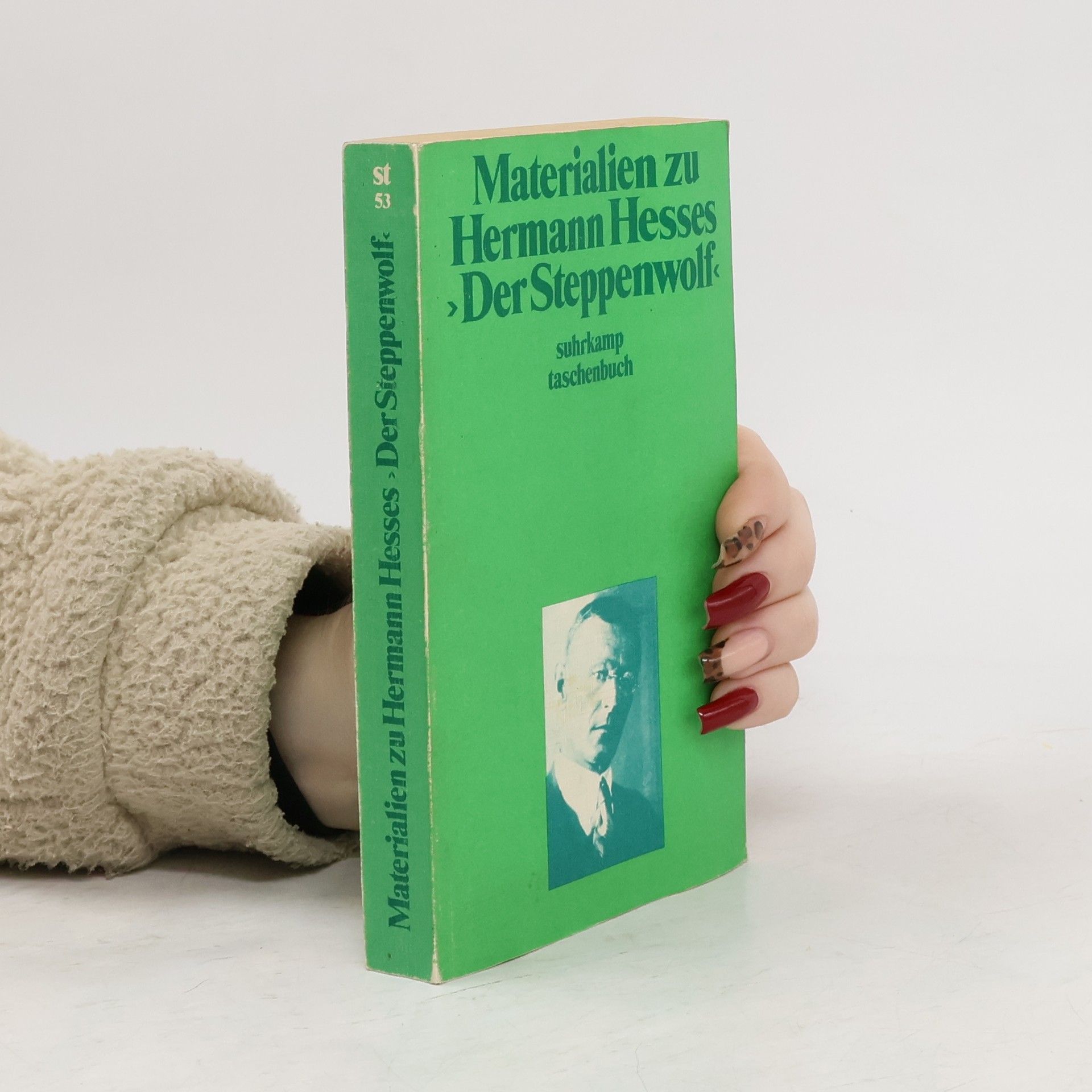 Volker Michels Materialien zu Hermann Hesses Der Steppenwolf