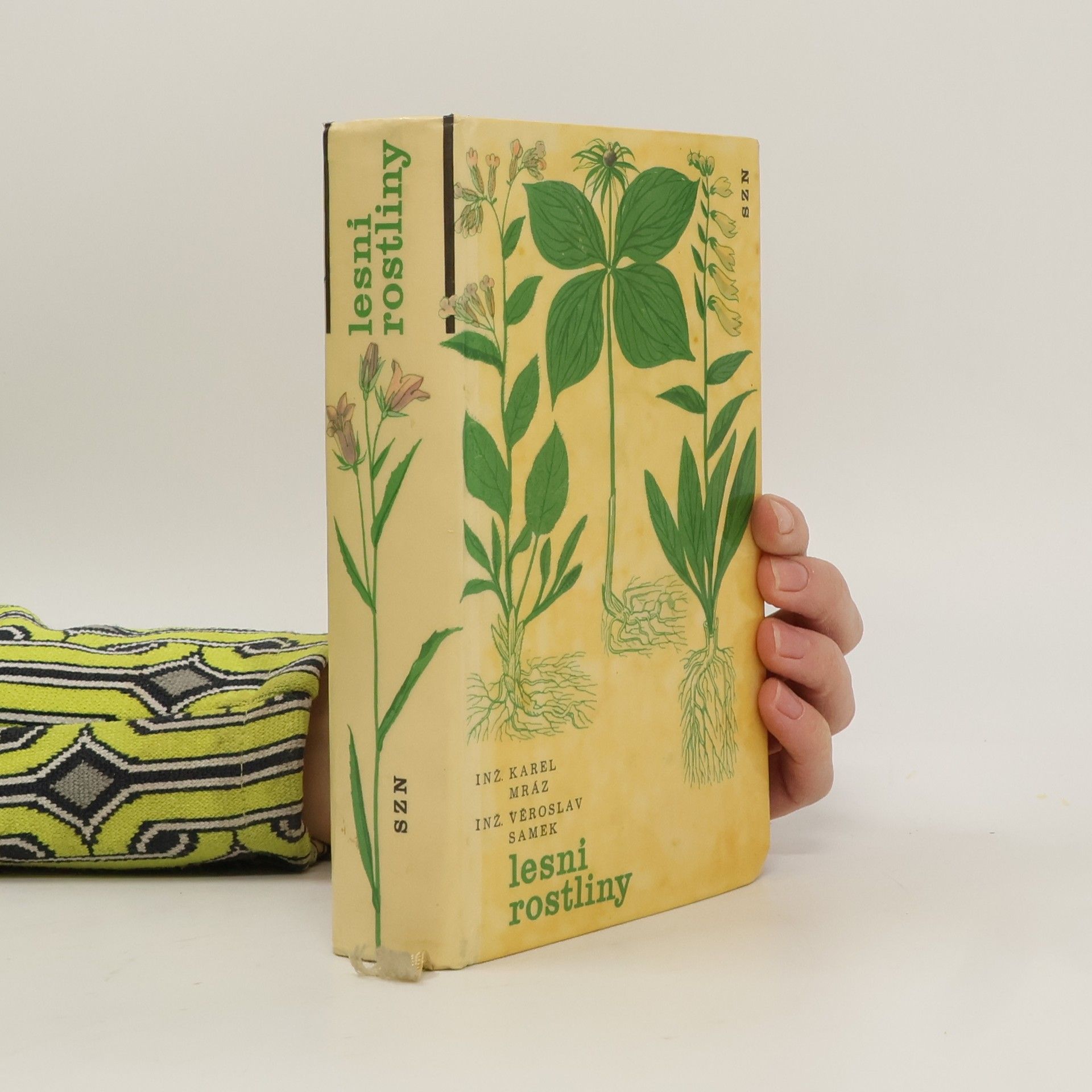 Karel Mráz Lesní rostliny