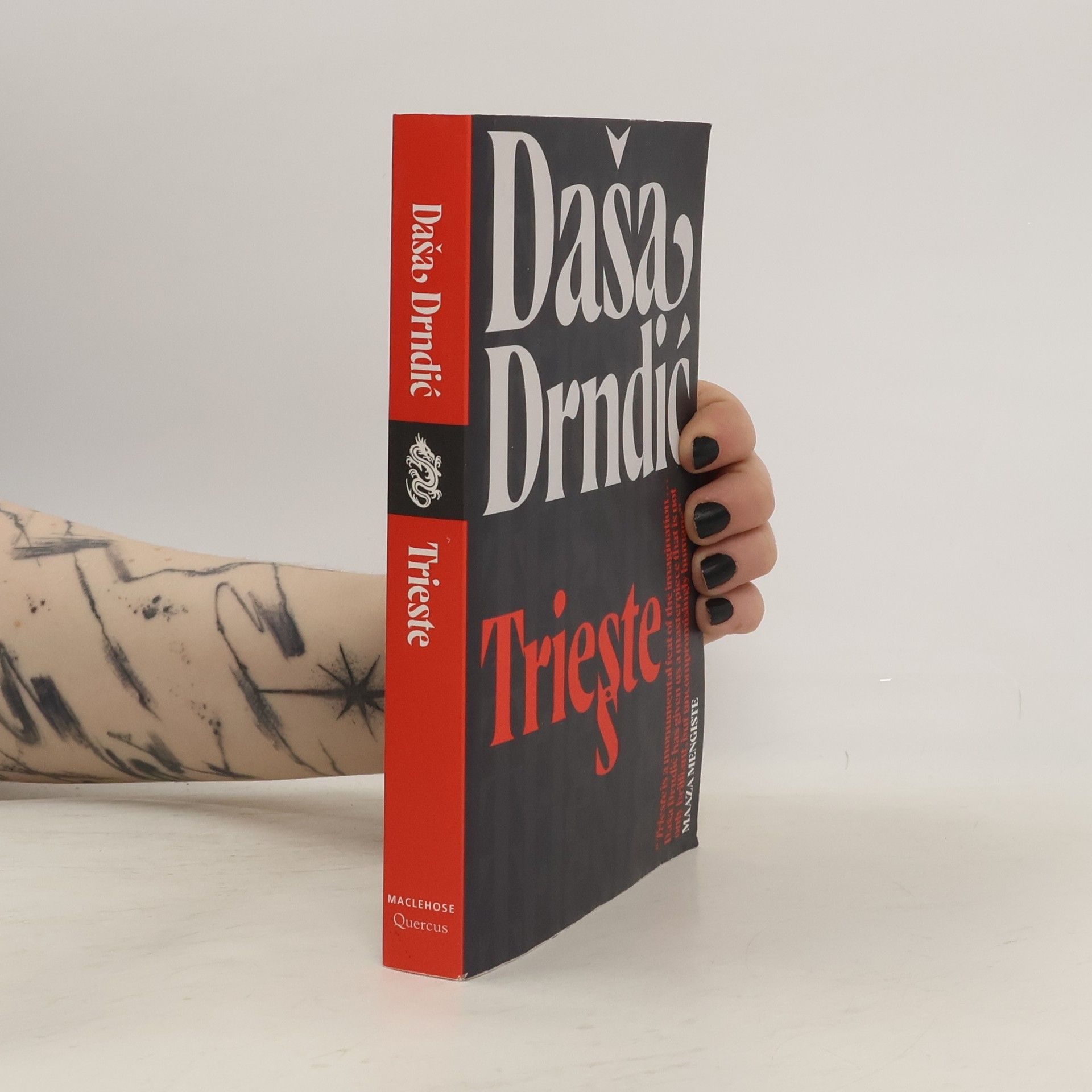 Daša Drndić Trieste