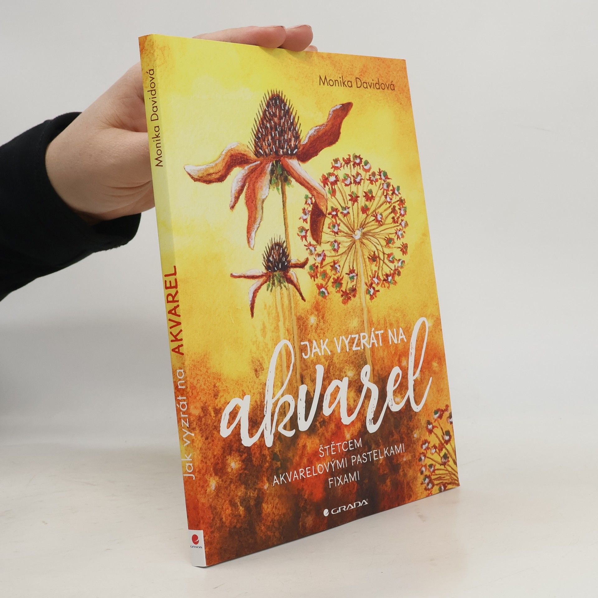 Monika Davidová Jak vyzrát na akvarel : štětcem, akvarelovými pastelkami, fixami
