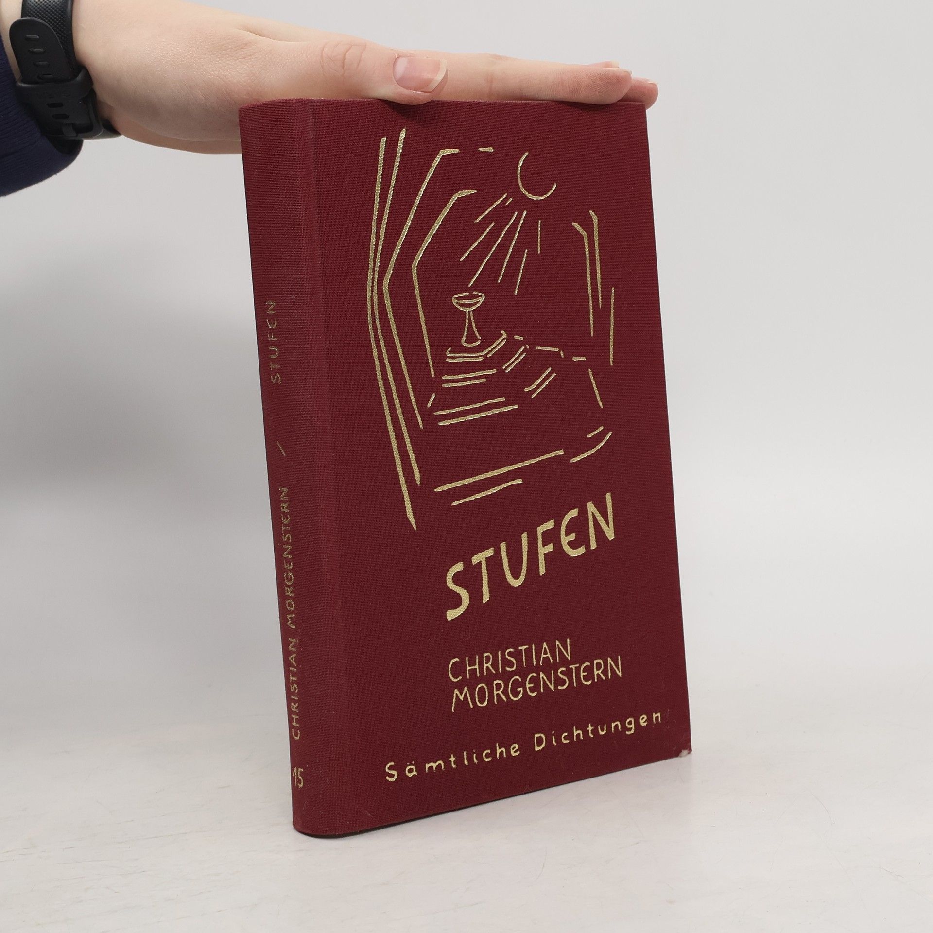 Christian Morgenstern Sämtliche Dichtungen. 2. Abt. : Bd. 15. Stufen : eine Entwickelung in Aphorismen und Tagebuch-Notizen ;