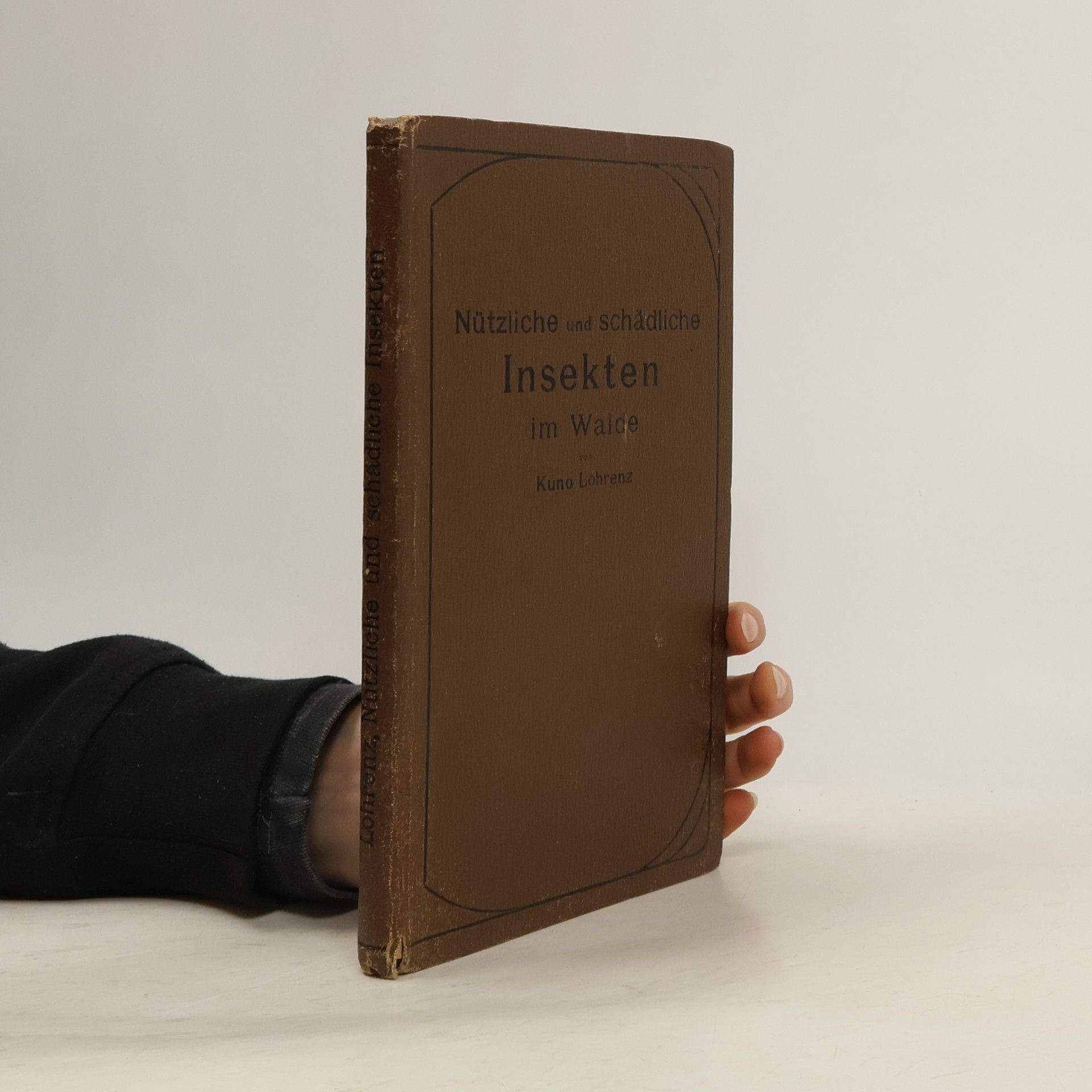 Kuno Lohrenz Nützliche und schädliche Insekten im Walde
