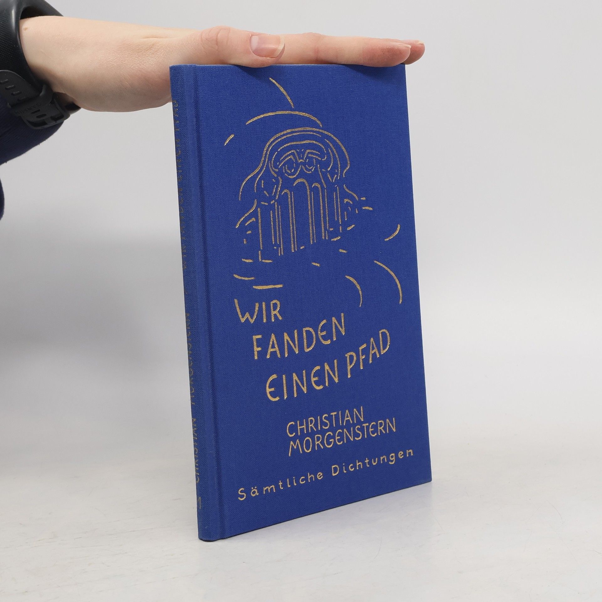 Christian Morgenstern Sämtliche Dichtungen. 1. Abt. : Bd. 11. Wir fanden einen Pfad : Gedichte