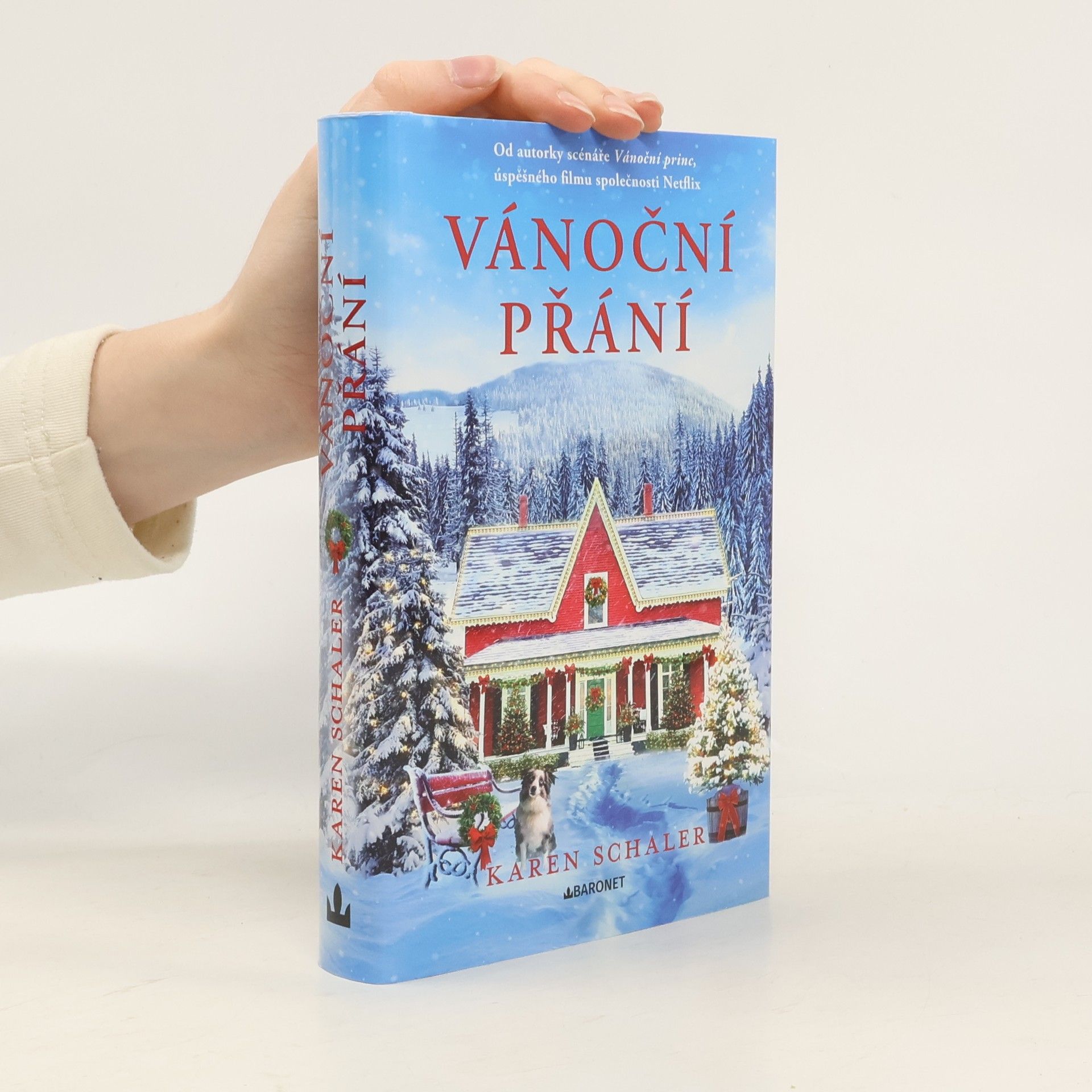 Karen Schaler Vánoční přání