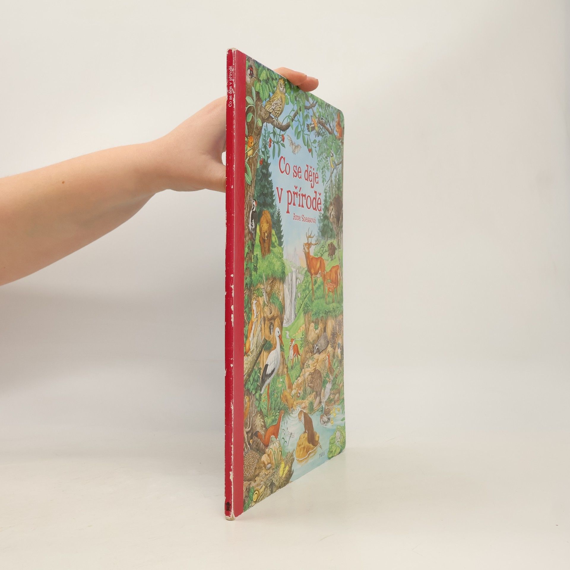 Anne Suess Co se děje v přírodě