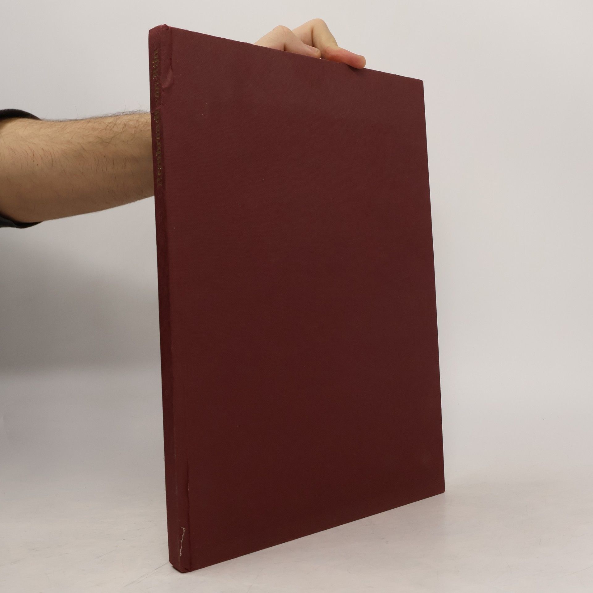 Rembrandt Rembrandt van Rijn