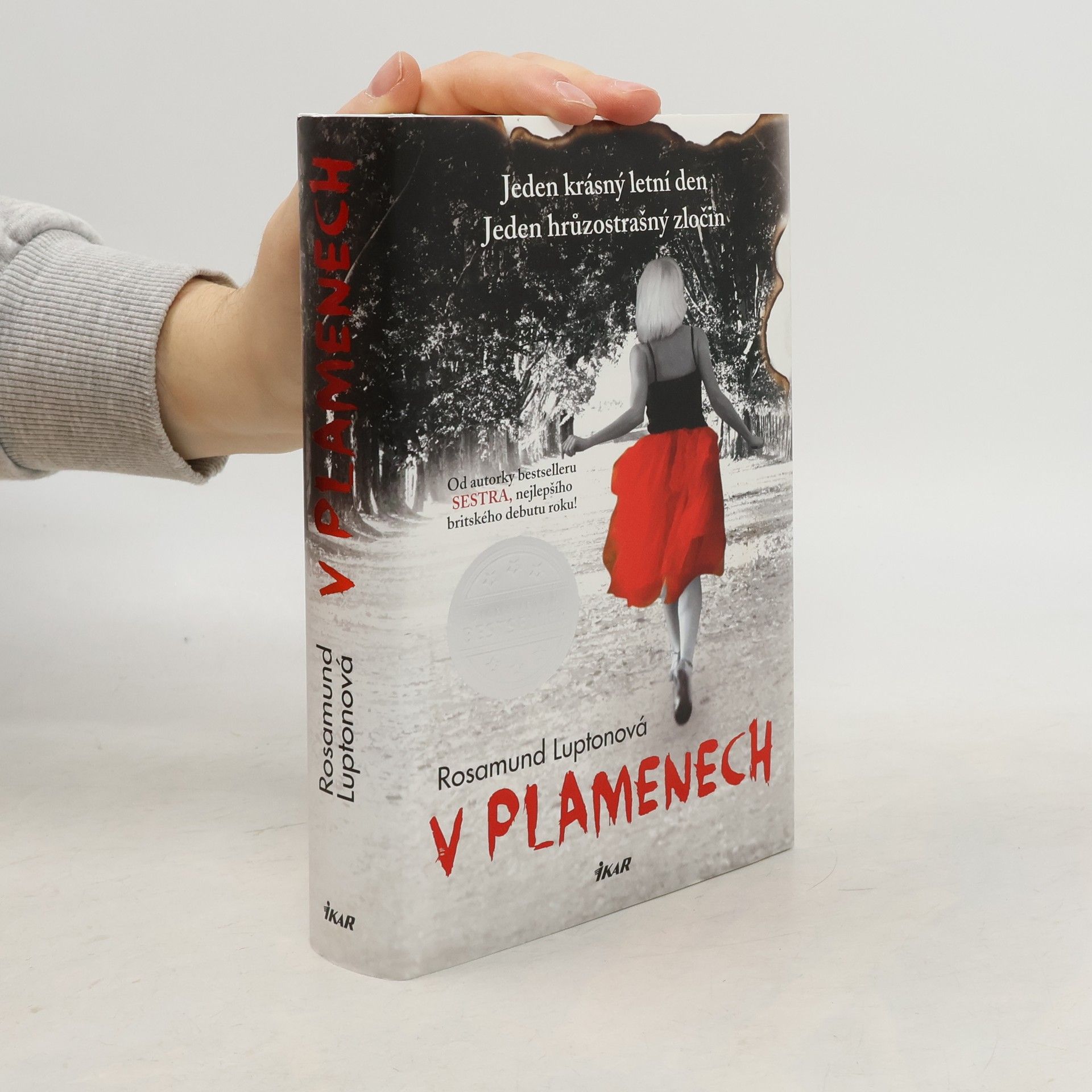 Rosamund Lupton V plamenech
