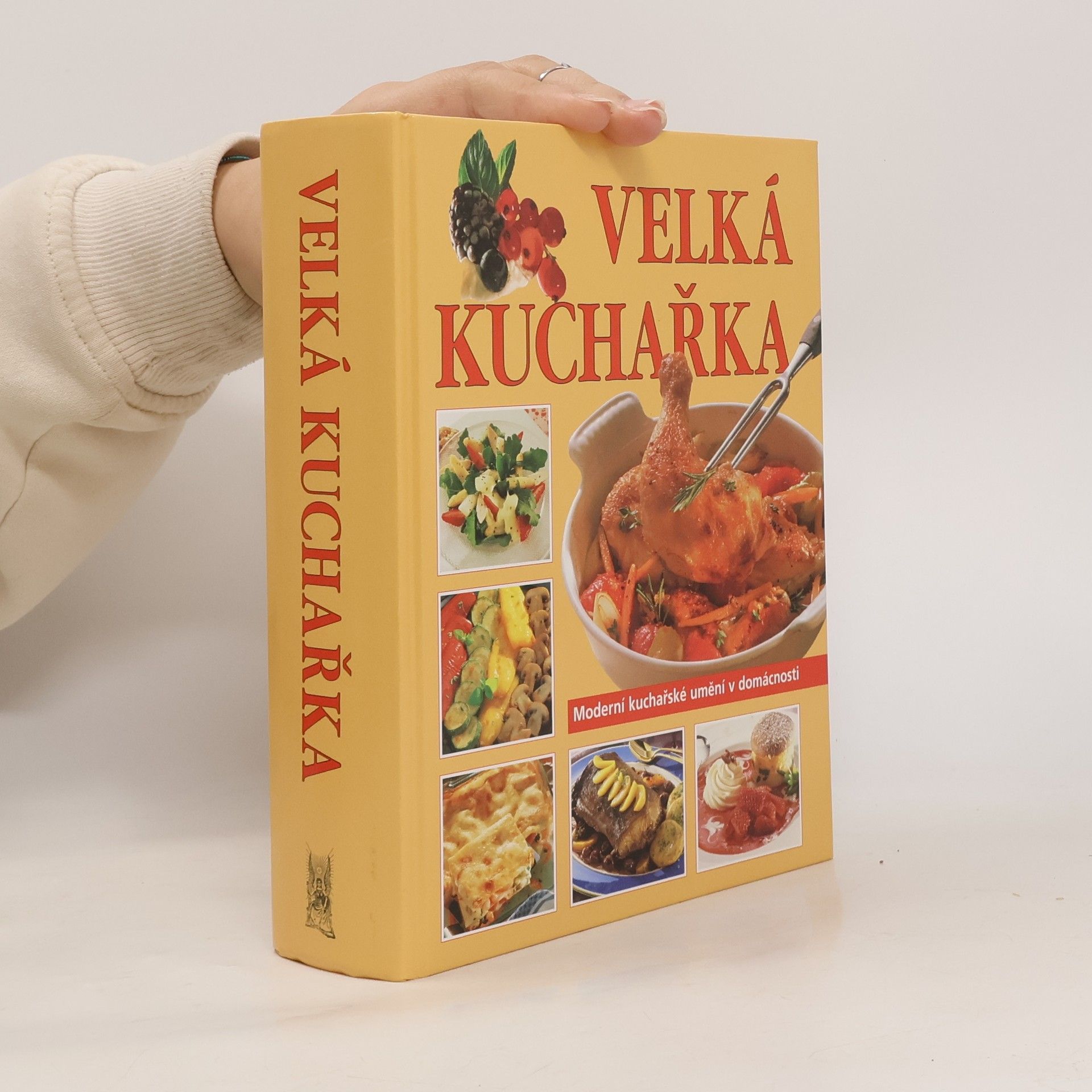 Kolektiv autorů Velká kuchařka