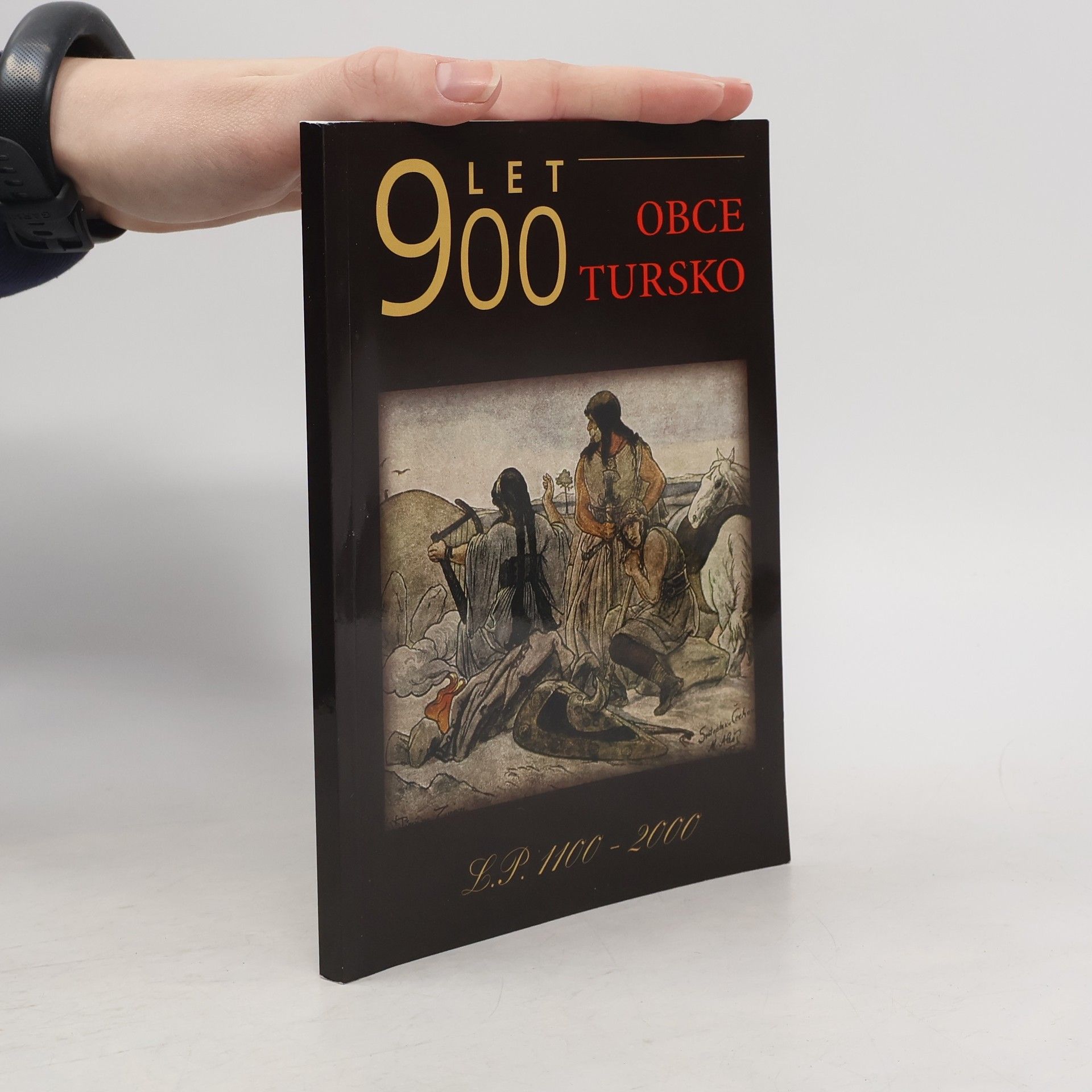 Various authors 900 let obce Tursko