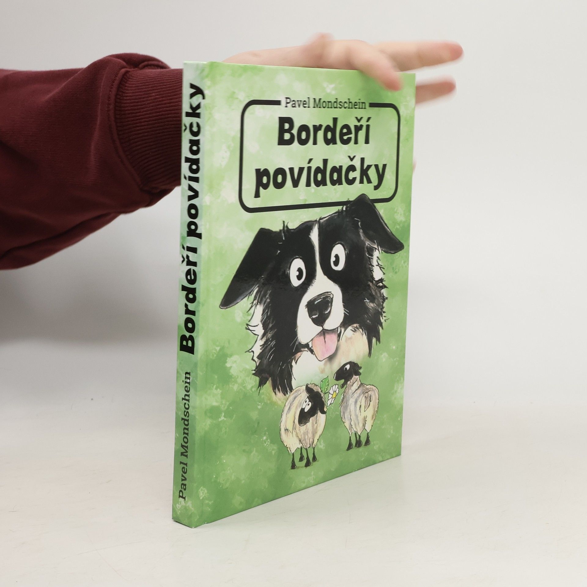 Pavel Mondschein Bordeří povídačky