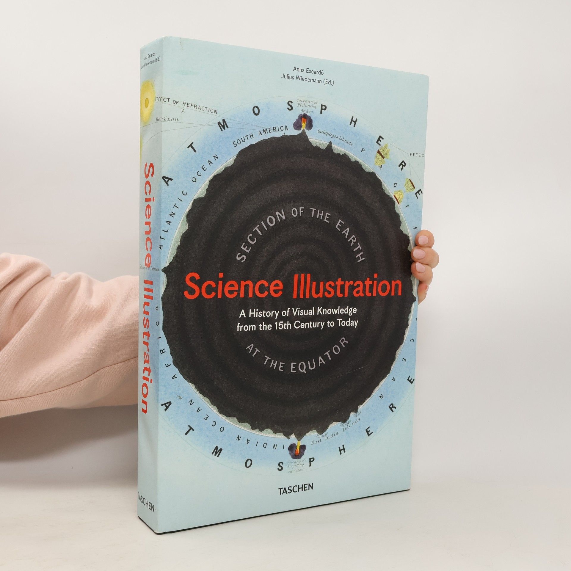 Anna Escardó  Science Illustration