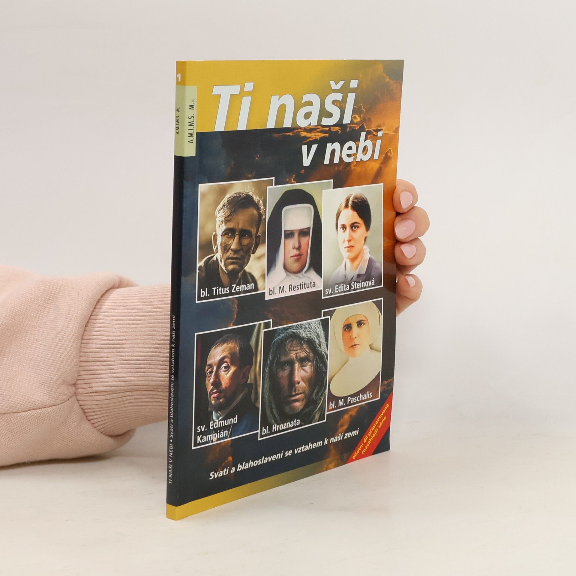 Autorenkollektiv Ti naši v nebi