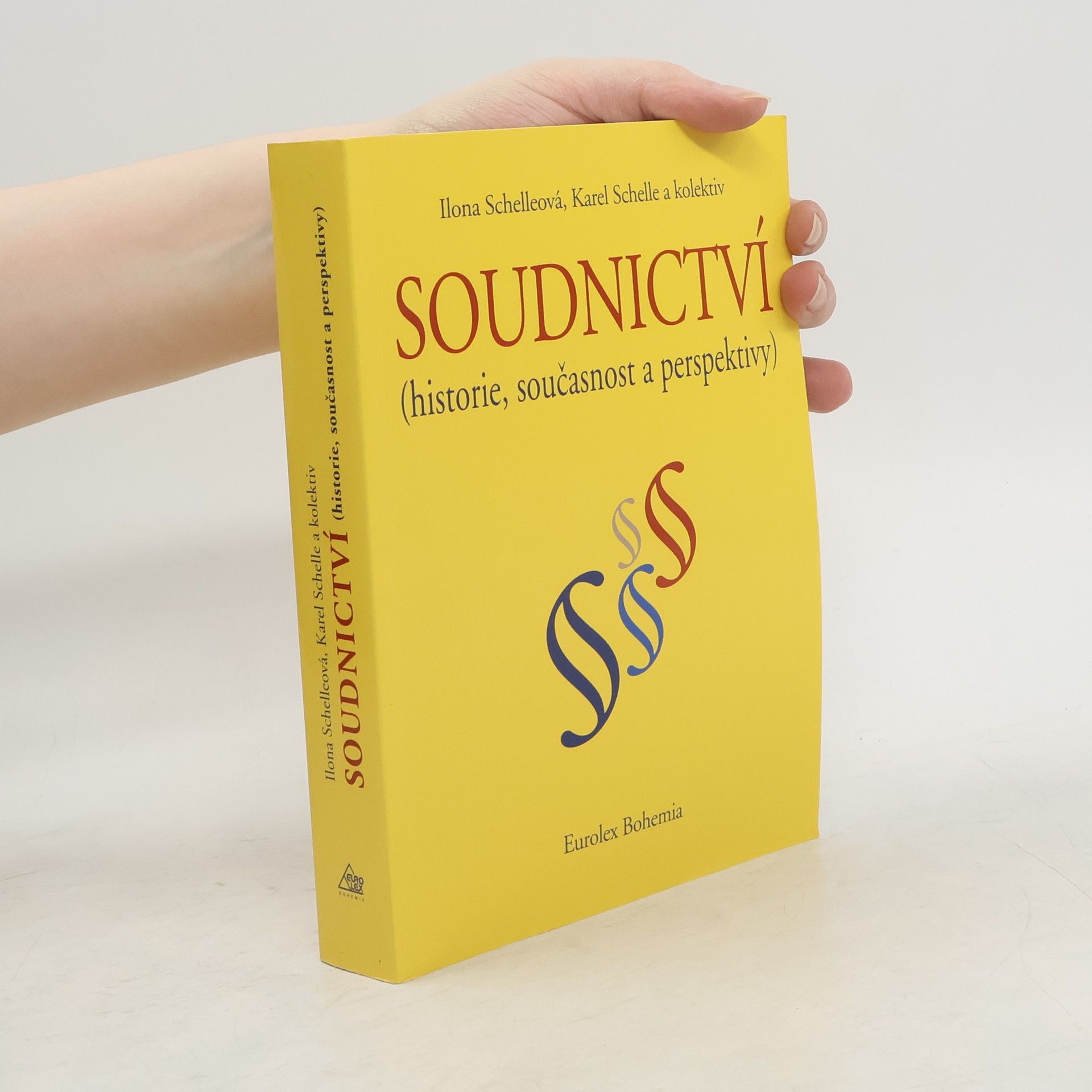 Soudnictví : (historie, současnost a perspektivy)