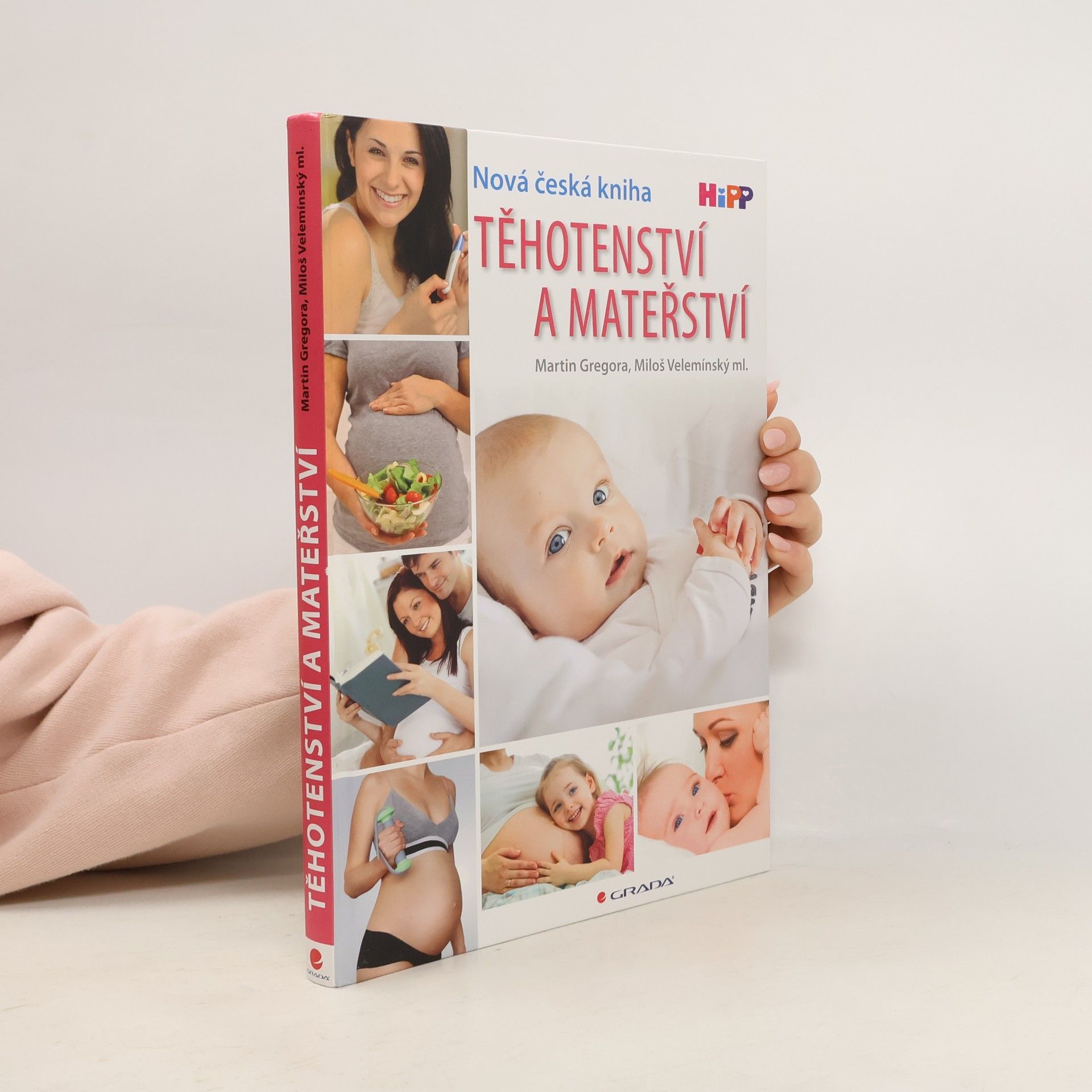 Martin Gregor-Dellin Těhotenství a mateřství