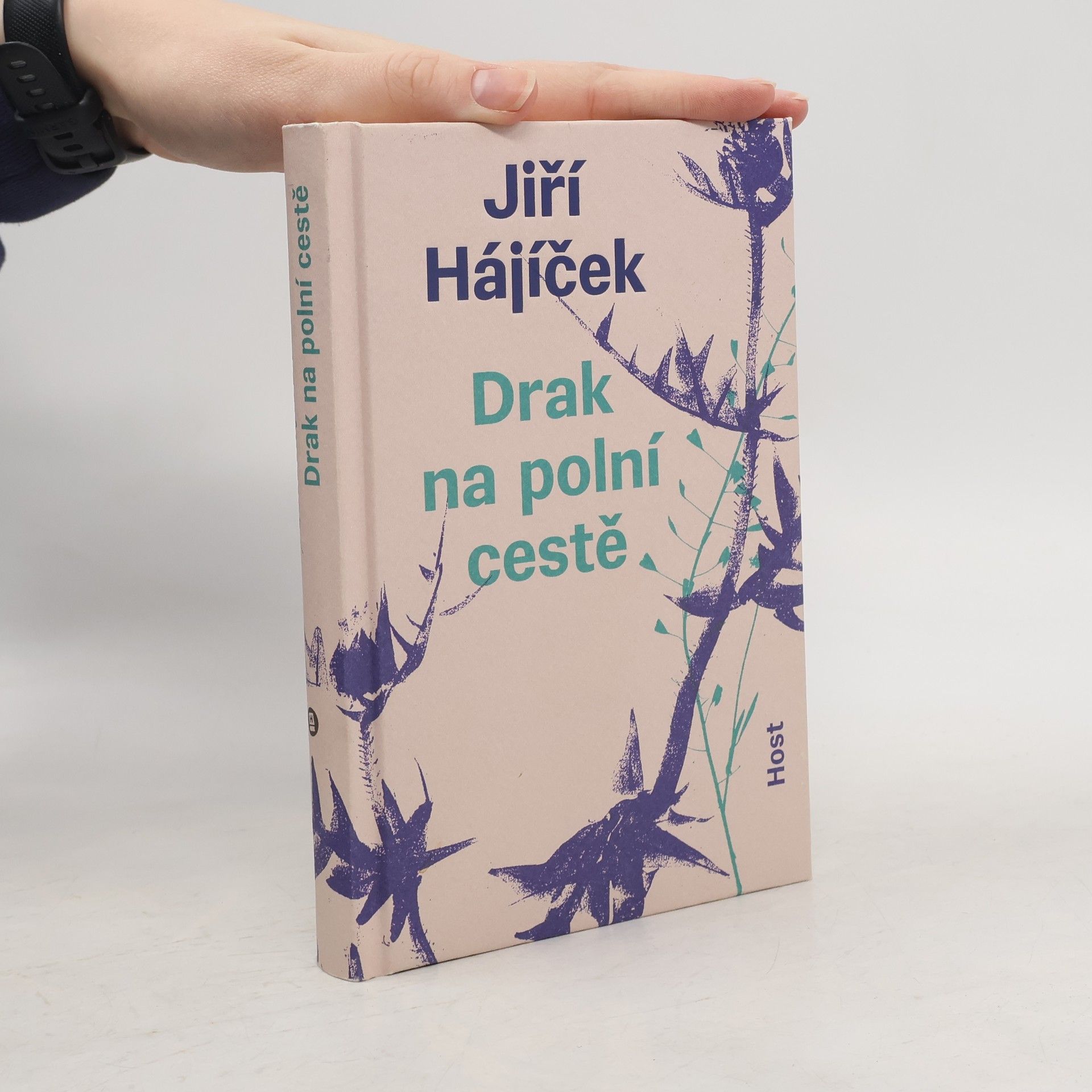 Jiří Hájíček Drak na polní cestě