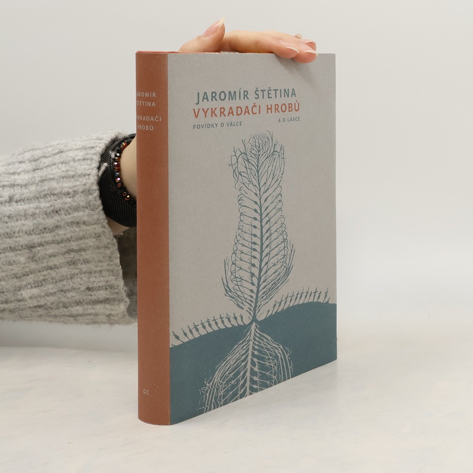 Jaromír Štětina Vykradači hrobů