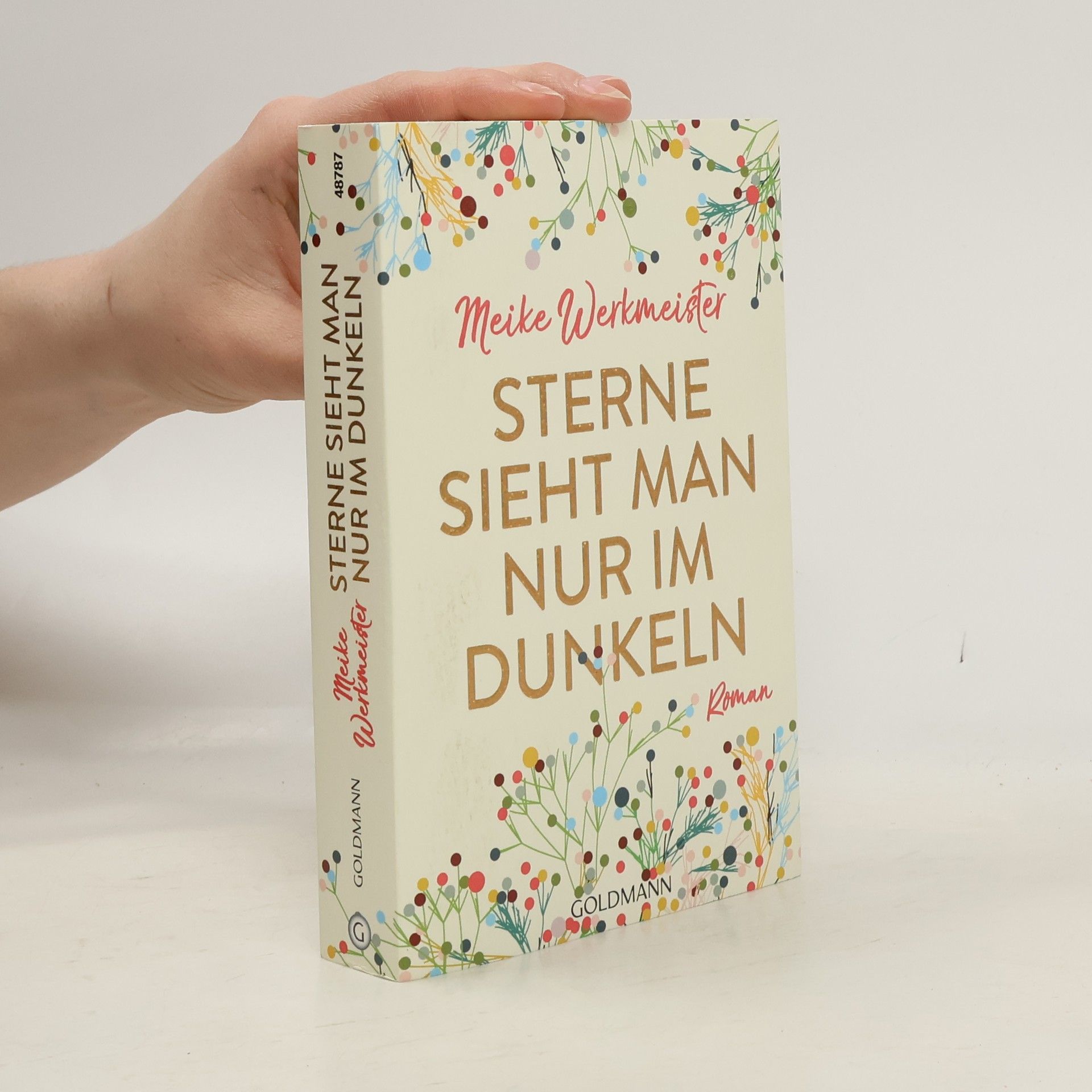 Meike Werkmeister Sterne sieht man nur im Dunkeln