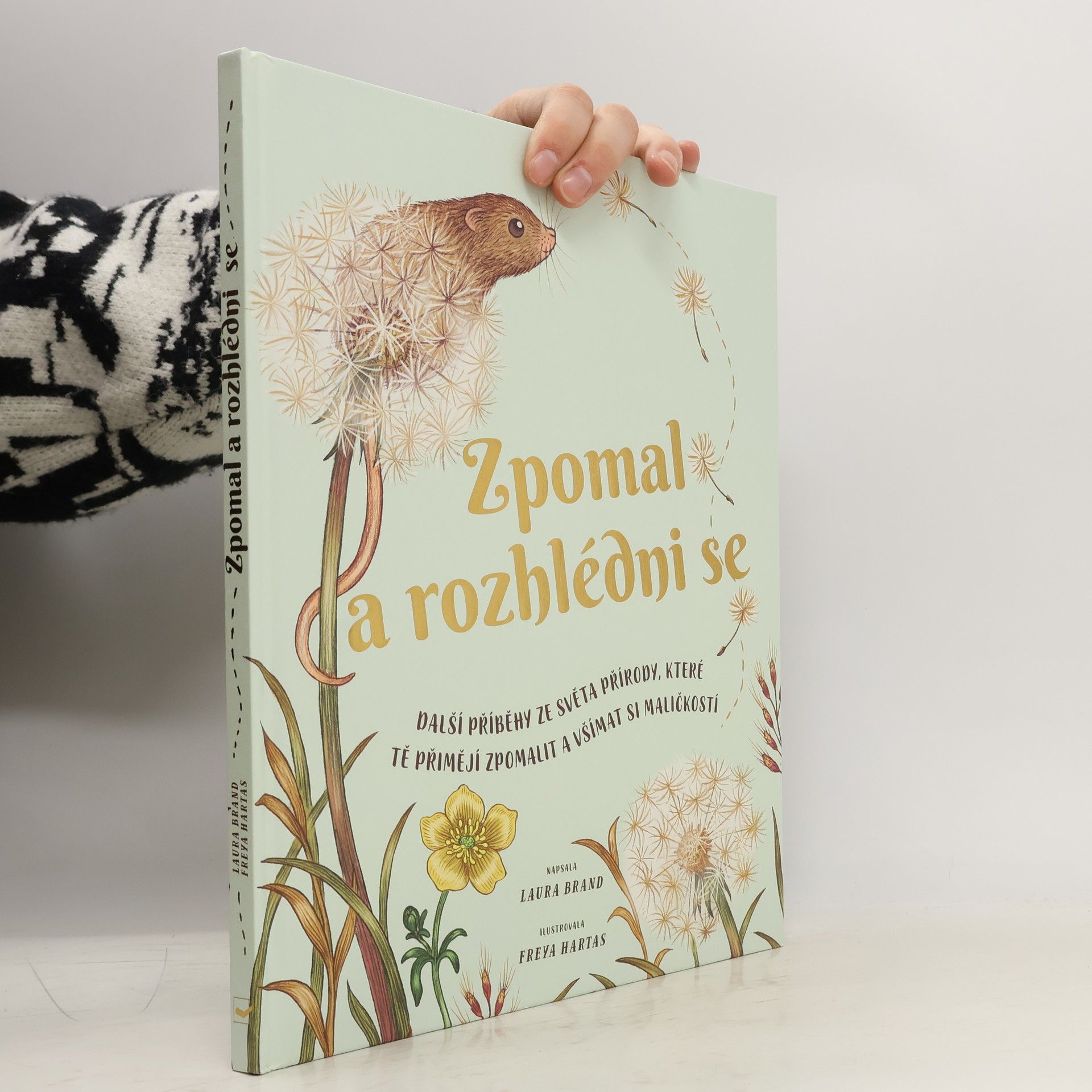 Laura Brander Zpomal a rozhlédni se