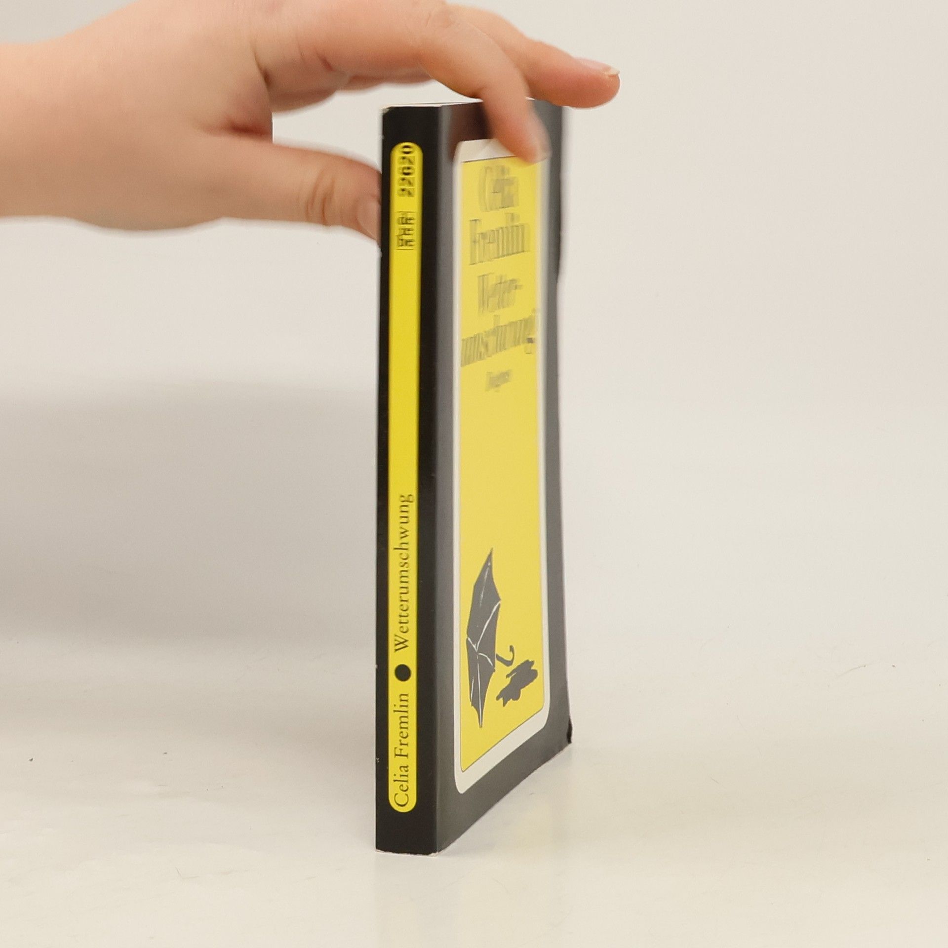 Celia Fremlin Wetterumschwung