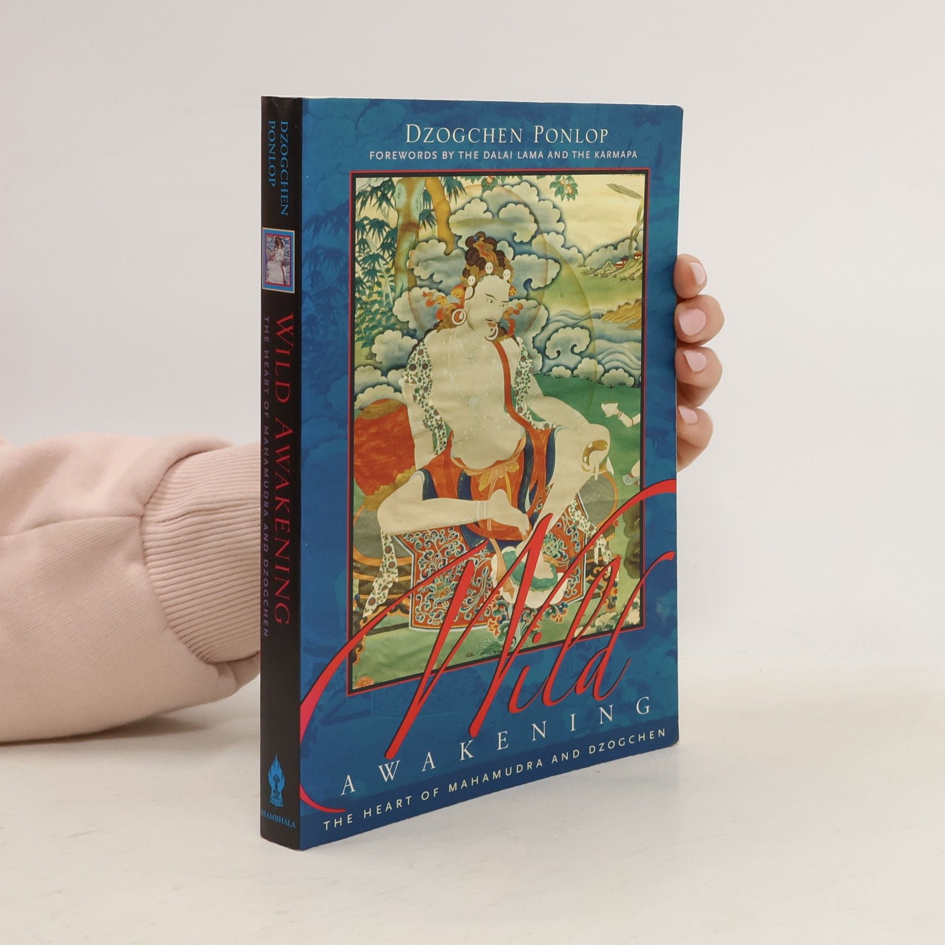 Dzogchen Ponlop Rinpoche Wild Awakening