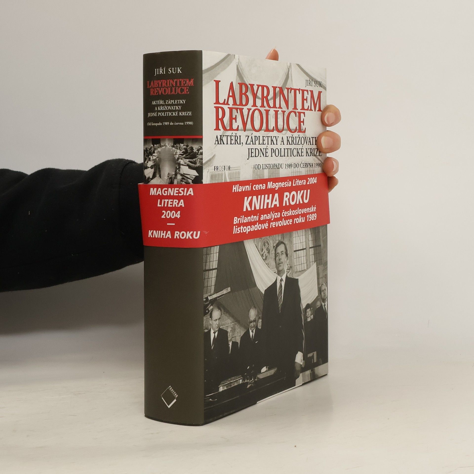 Labyrintem revoluce. Aktéři, zápletky a křižovatky jedné politické krize (od listopadu 1989 do června 1990)