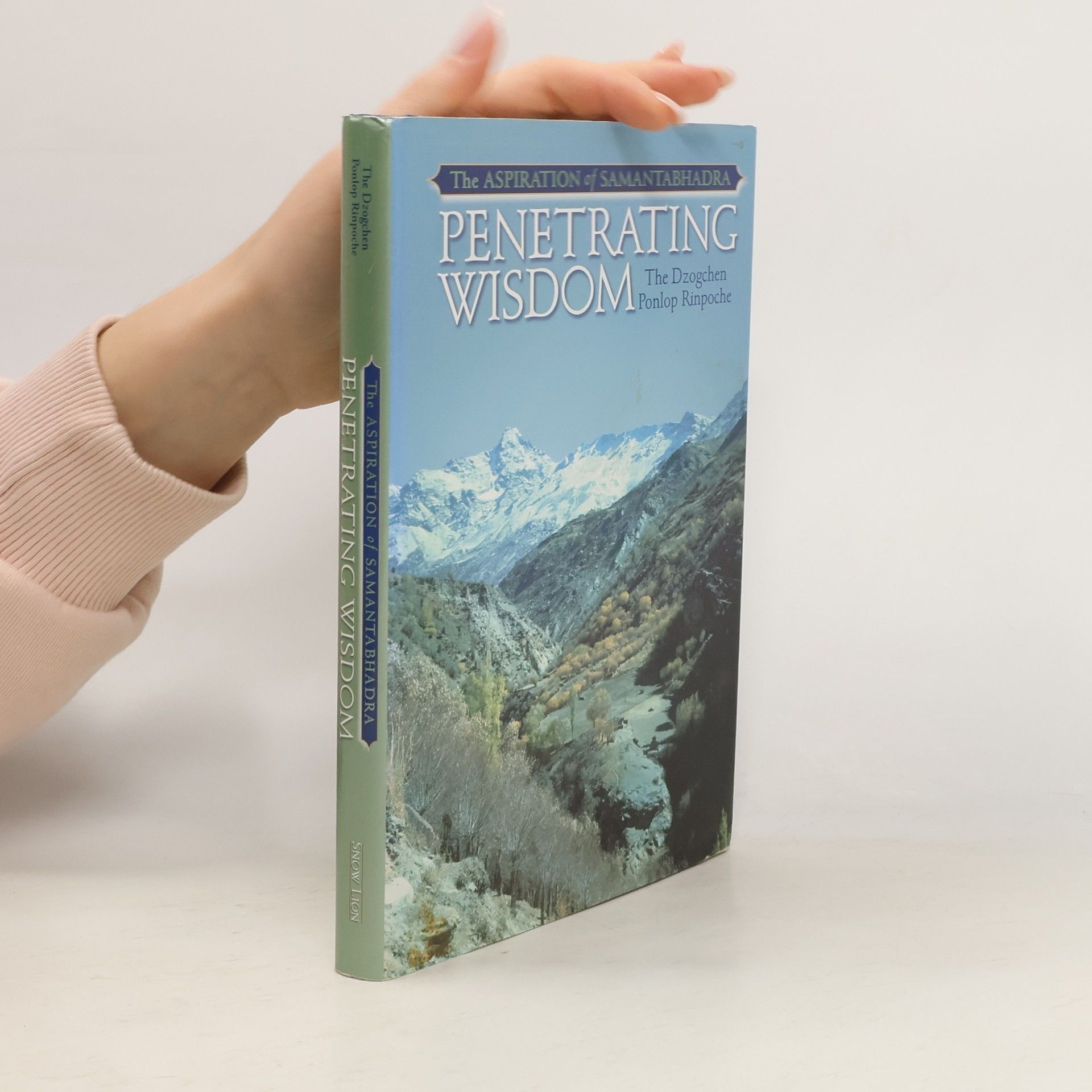 Dzogchen Ponlop Rinpoche Penetrating Wisdom