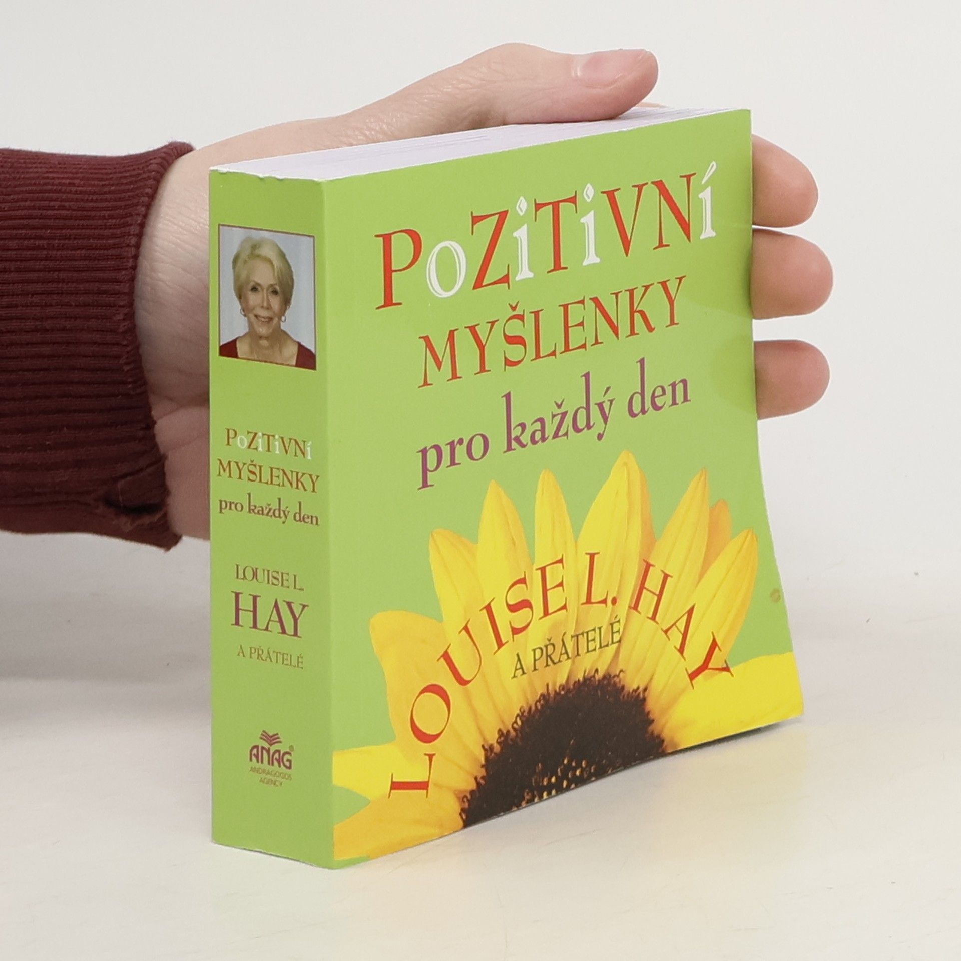 Louise Lynn Hay Pozitivní myšlenky pro každý den