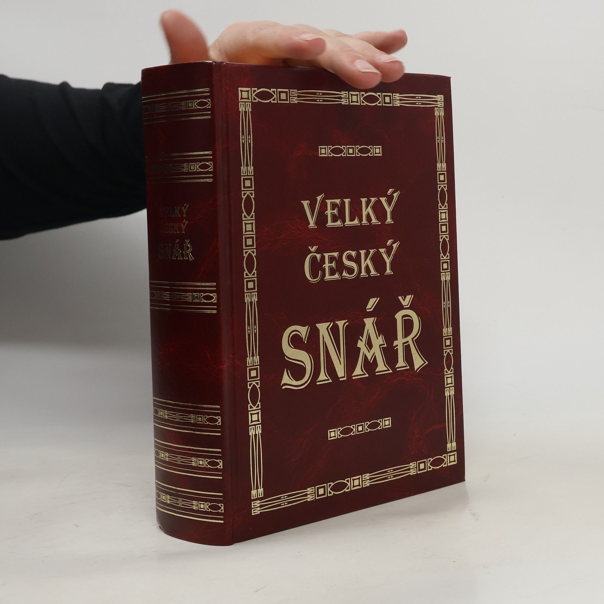 Anna Nováková Velký český snář