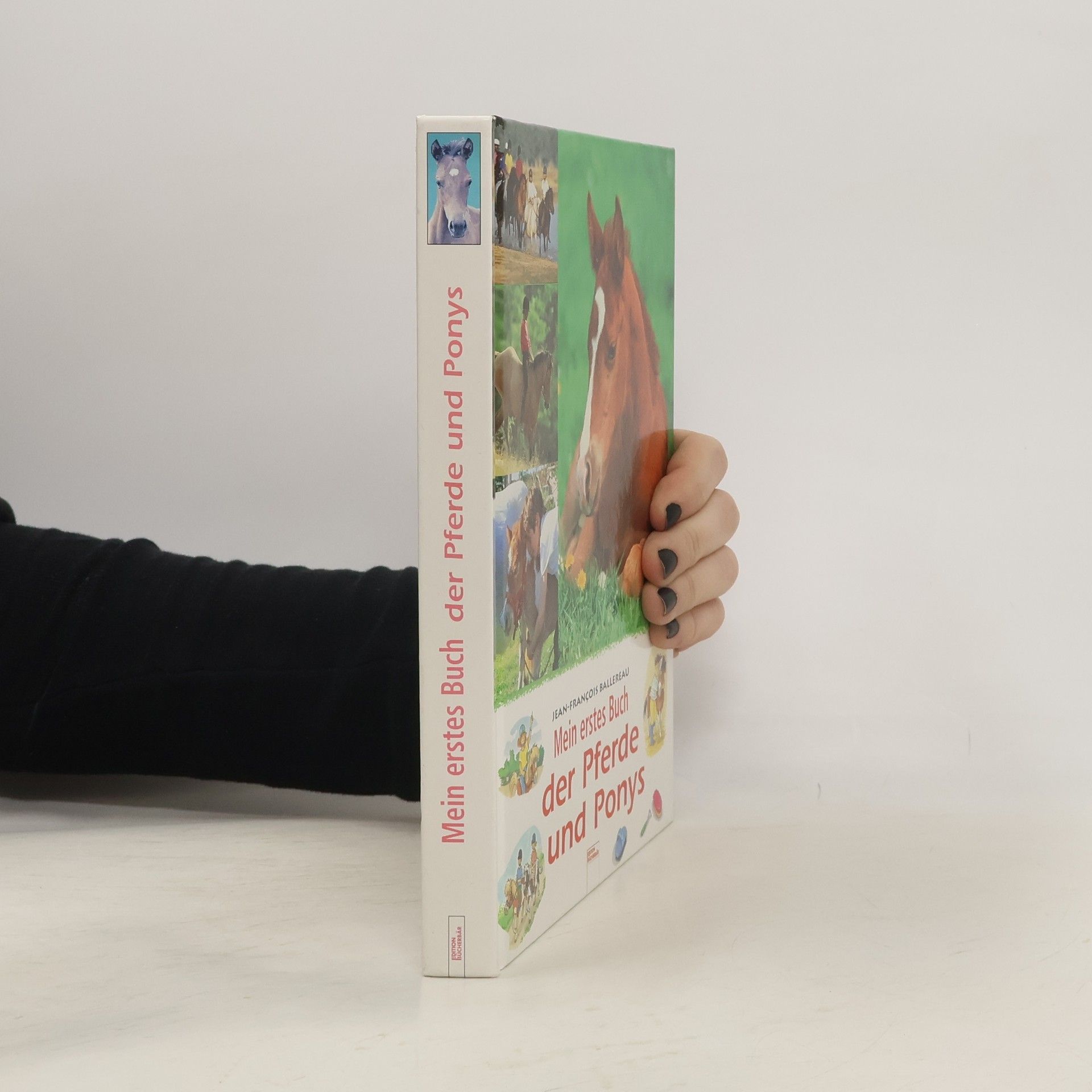 Mein erstes Buch der Pferde und Ponys